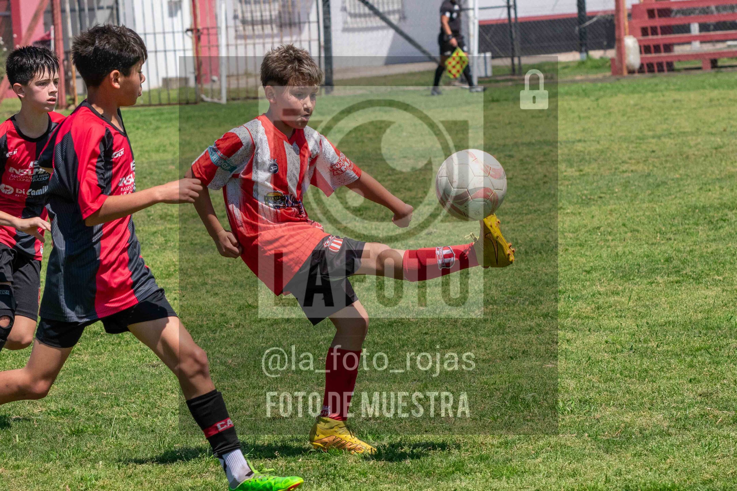 Fotografía SUB12-NEW-JUVE-73-scaled de NEWBERY JUVENTUD / SUB12