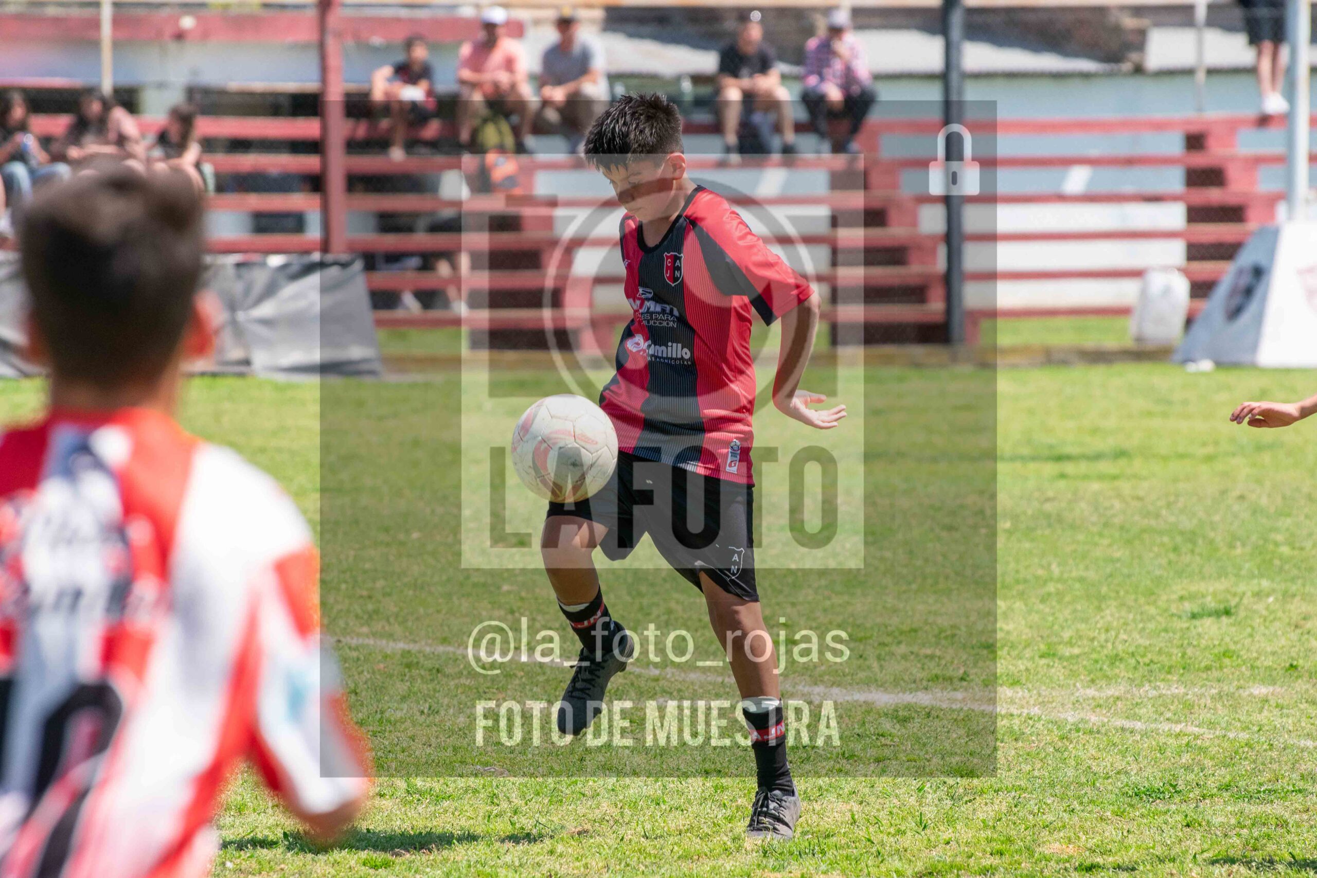 Fotografía SUB12-NEW-JUVE-75-scaled de NEWBERY JUVENTUD / SUB12