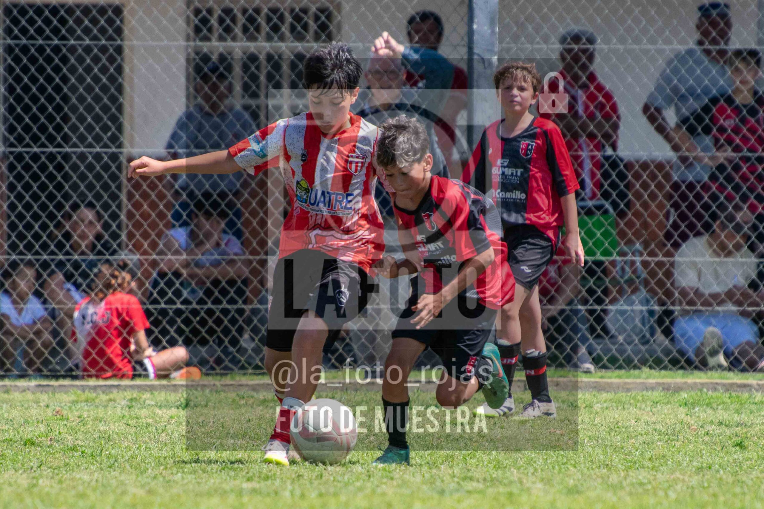 Fotografía SUB12-NEW-JUVE-76-scaled de NEWBERY JUVENTUD / SUB12