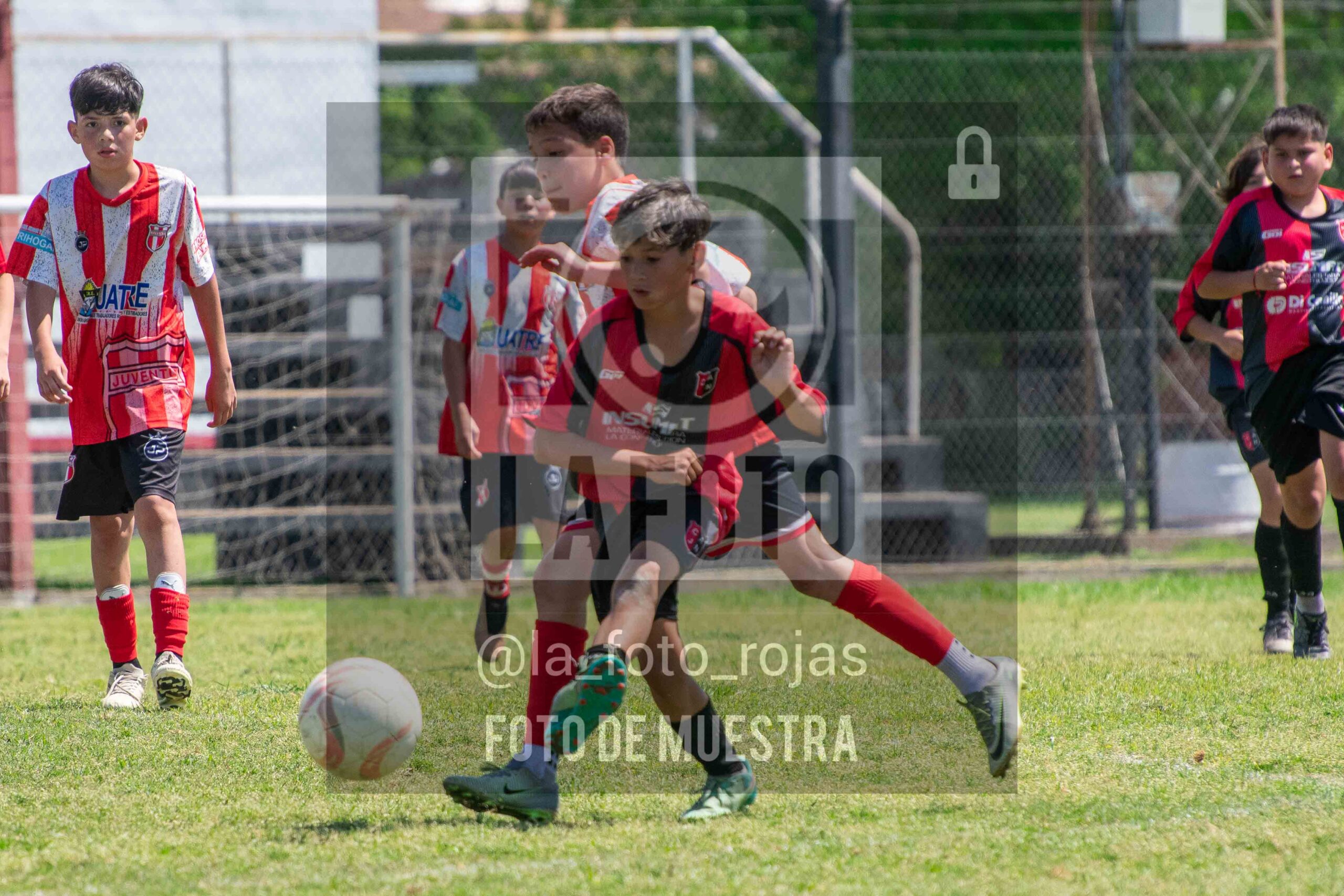 Fotografía SUB12-NEW-JUVE-78-scaled de NEWBERY JUVENTUD / SUB12