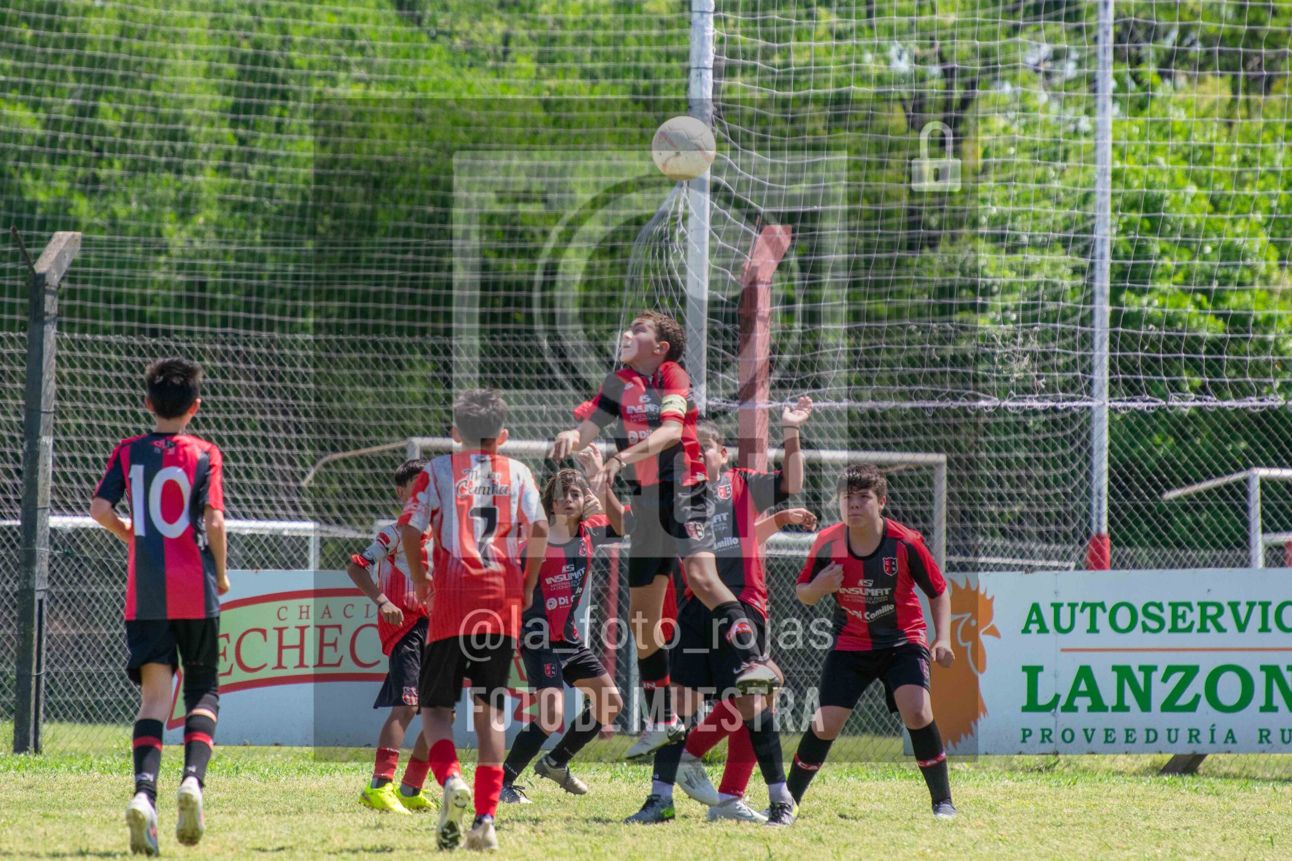 Fotografía SUB12-NEW-JUVE-79-scaled de NEWBERY JUVENTUD / SUB12