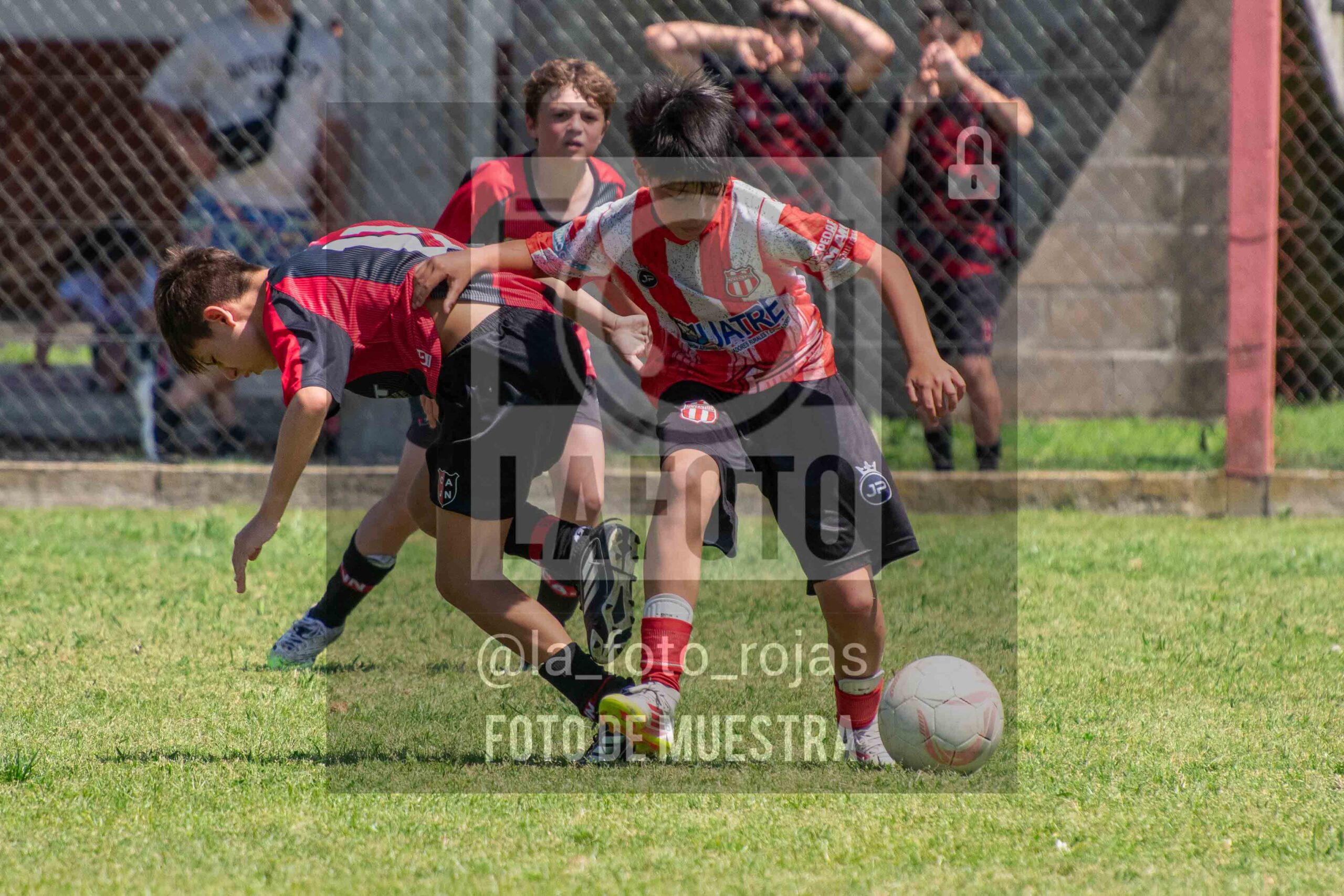 Fotografía SUB12-NEW-JUVE-85-scaled de NEWBERY JUVENTUD / SUB12