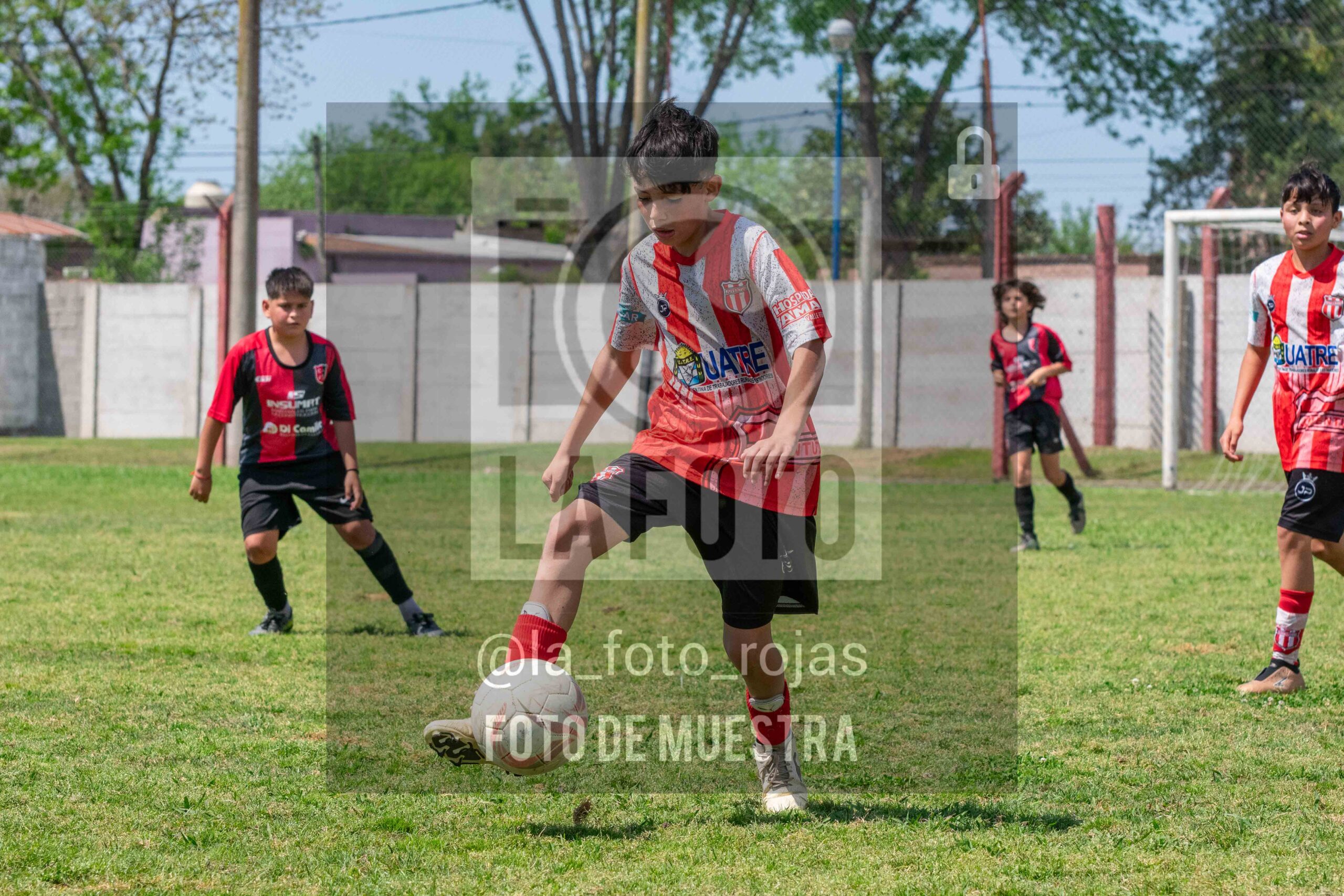 Fotografía SUB12-NEW-JUVE-93-scaled de NEWBERY JUVENTUD / SUB12
