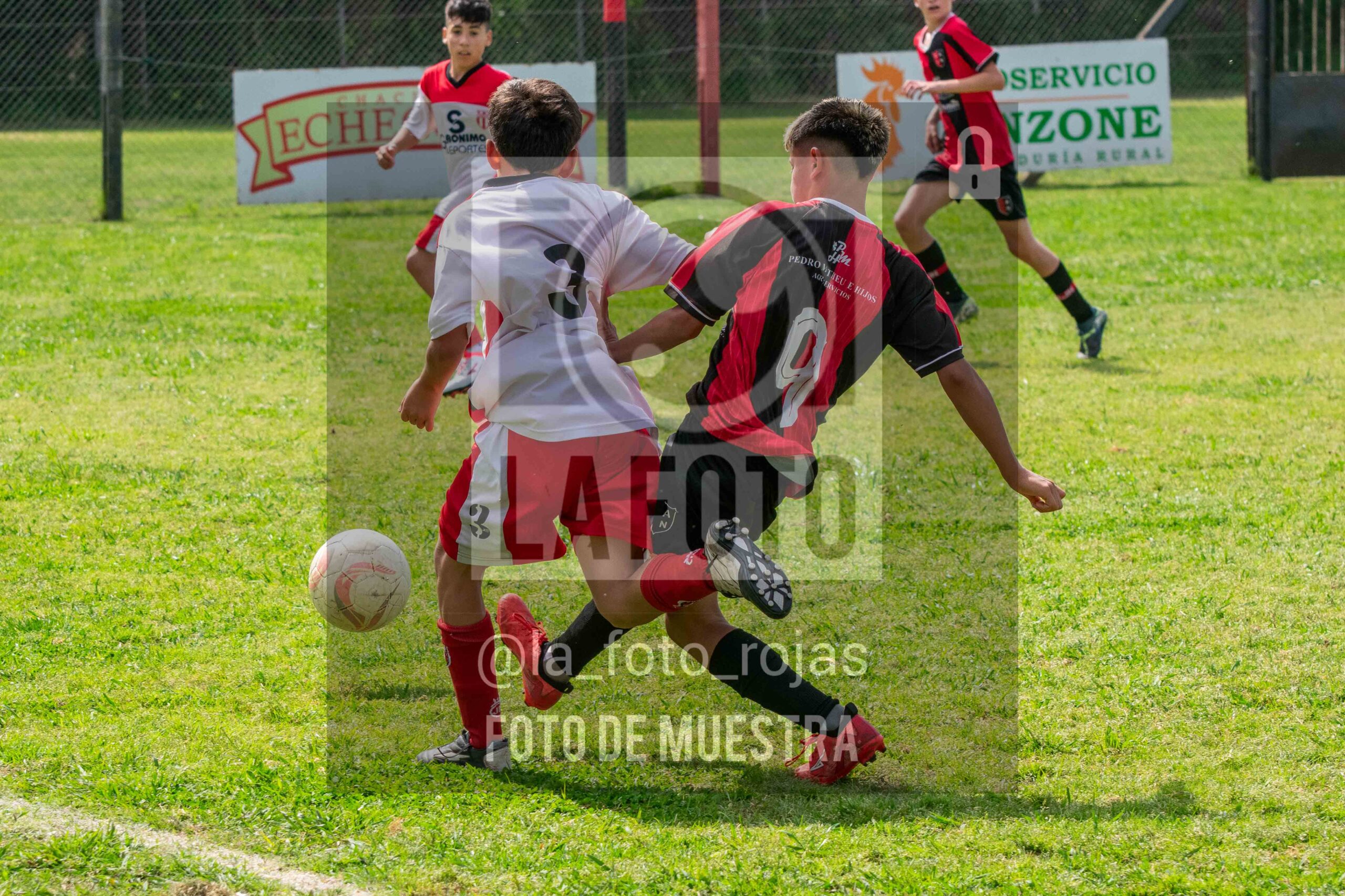 Fotografía SUB13-NEW-JUV-49-1-scaled de NEWBERY - JUVENTUD / SUB13