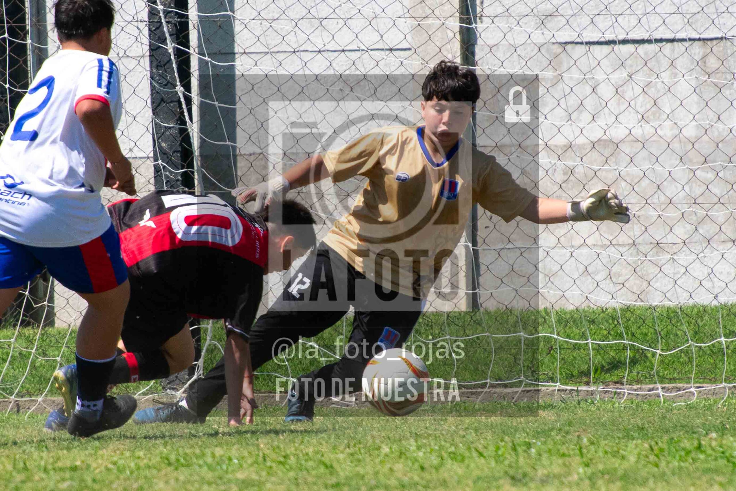 Fotografía SUB13-NEWBERY-UNION-12-scaled de NEWBERY - UNION / SUB13