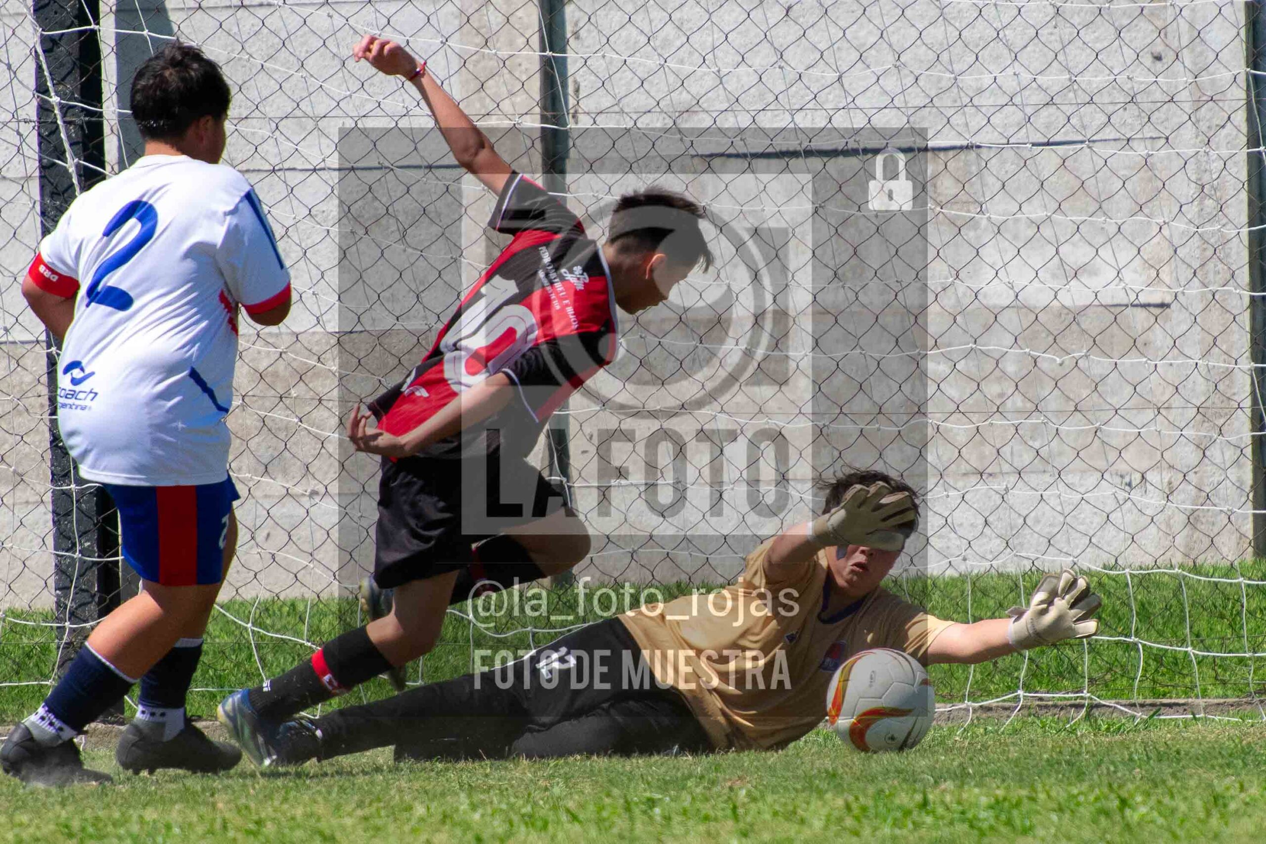 Fotografía SUB13-NEWBERY-UNION-13-scaled de NEWBERY - UNION / SUB13