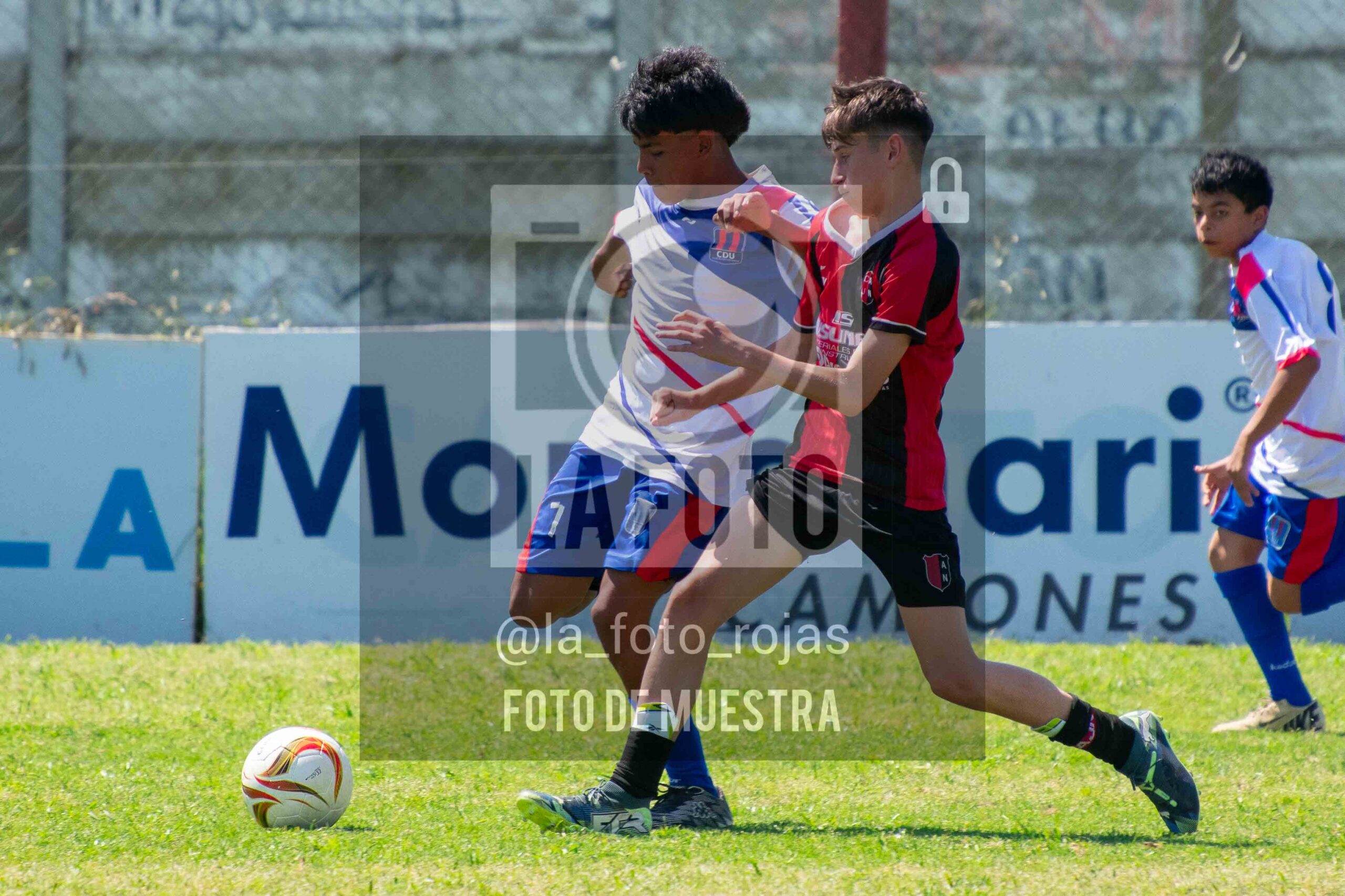 Fotografía SUB13-NEWBERY-UNION-20-scaled de NEWBERY - UNION / SUB13