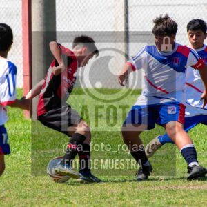 Fotografía SUB13-NEWBERY-UNION-25-scaled de NEWBERY - UNION / SUB13