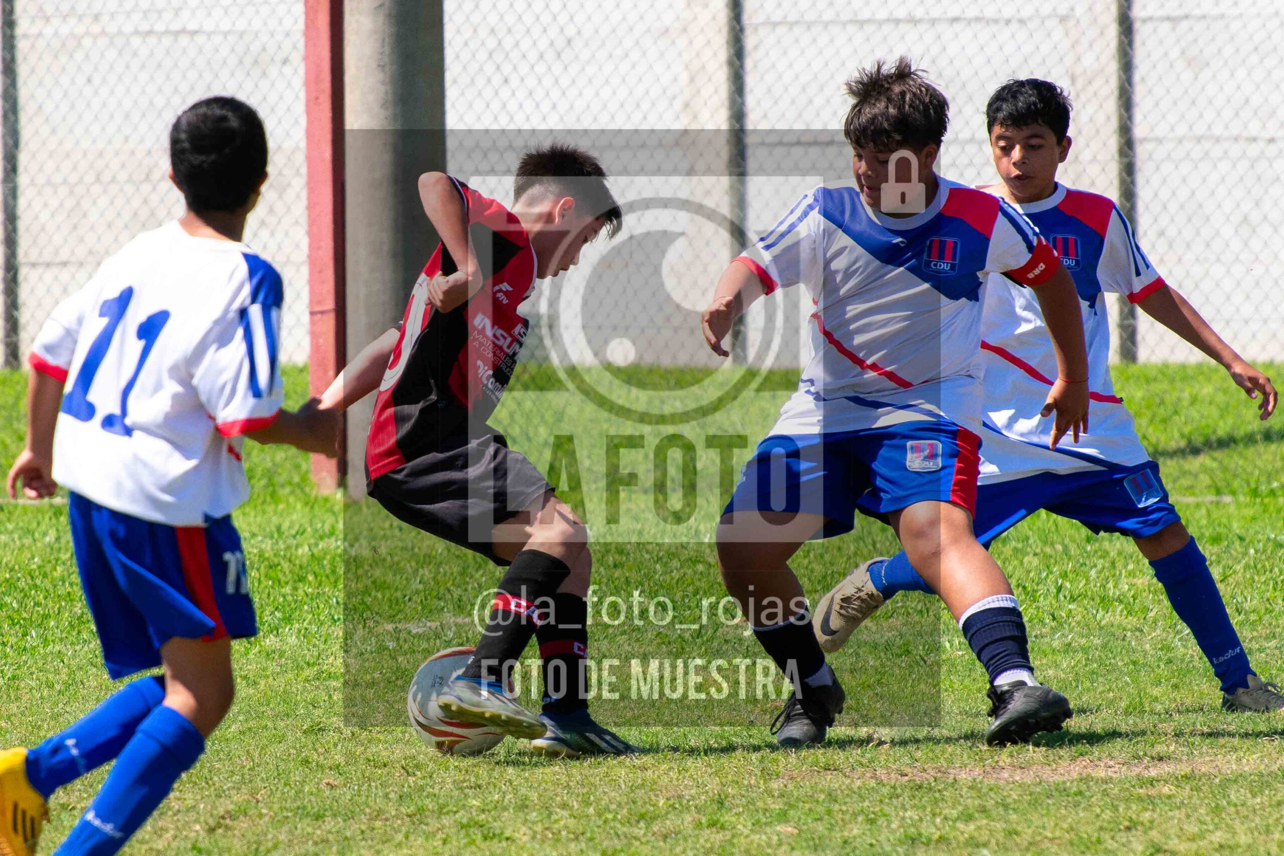Fotografía SUB13-NEWBERY-UNION-25-scaled de NEWBERY - UNION / SUB13