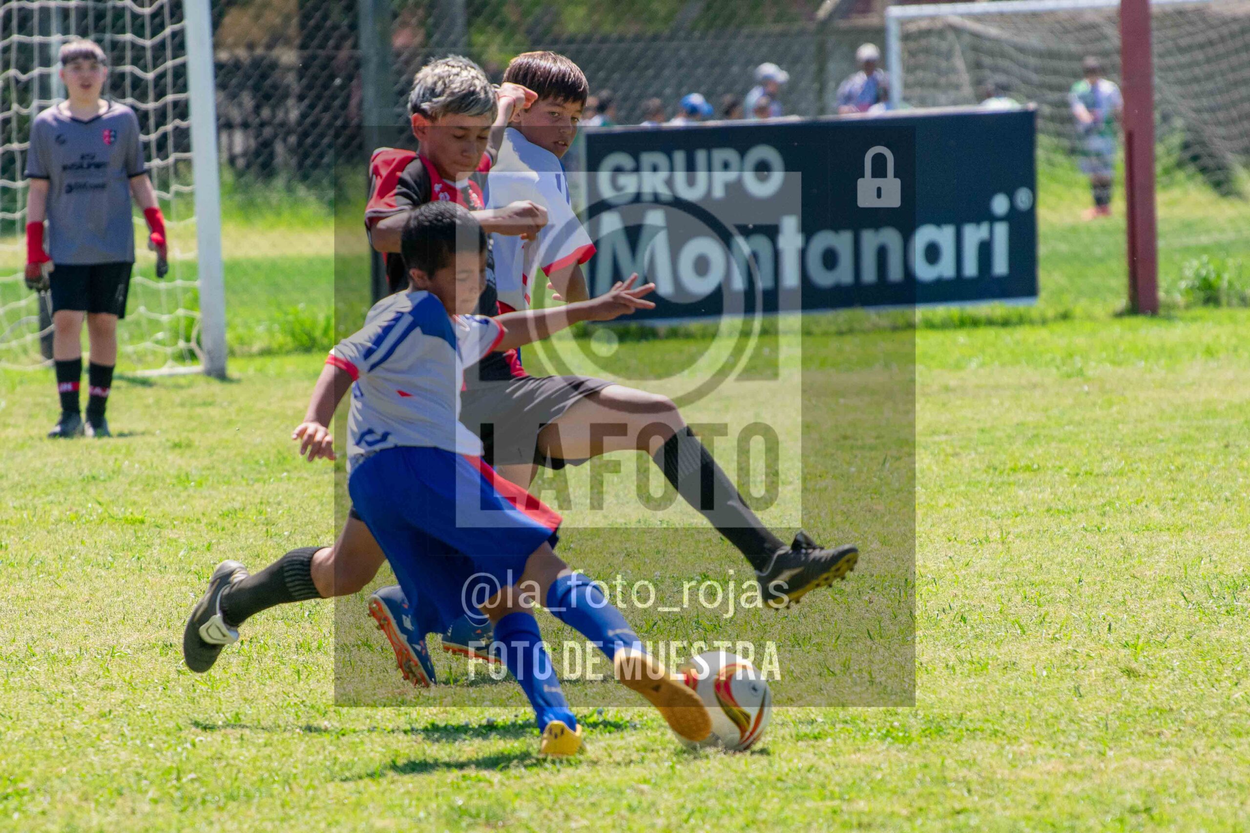 Fotografía SUB13-NEWBERY-UNION-32-scaled de NEWBERY - UNION / SUB13