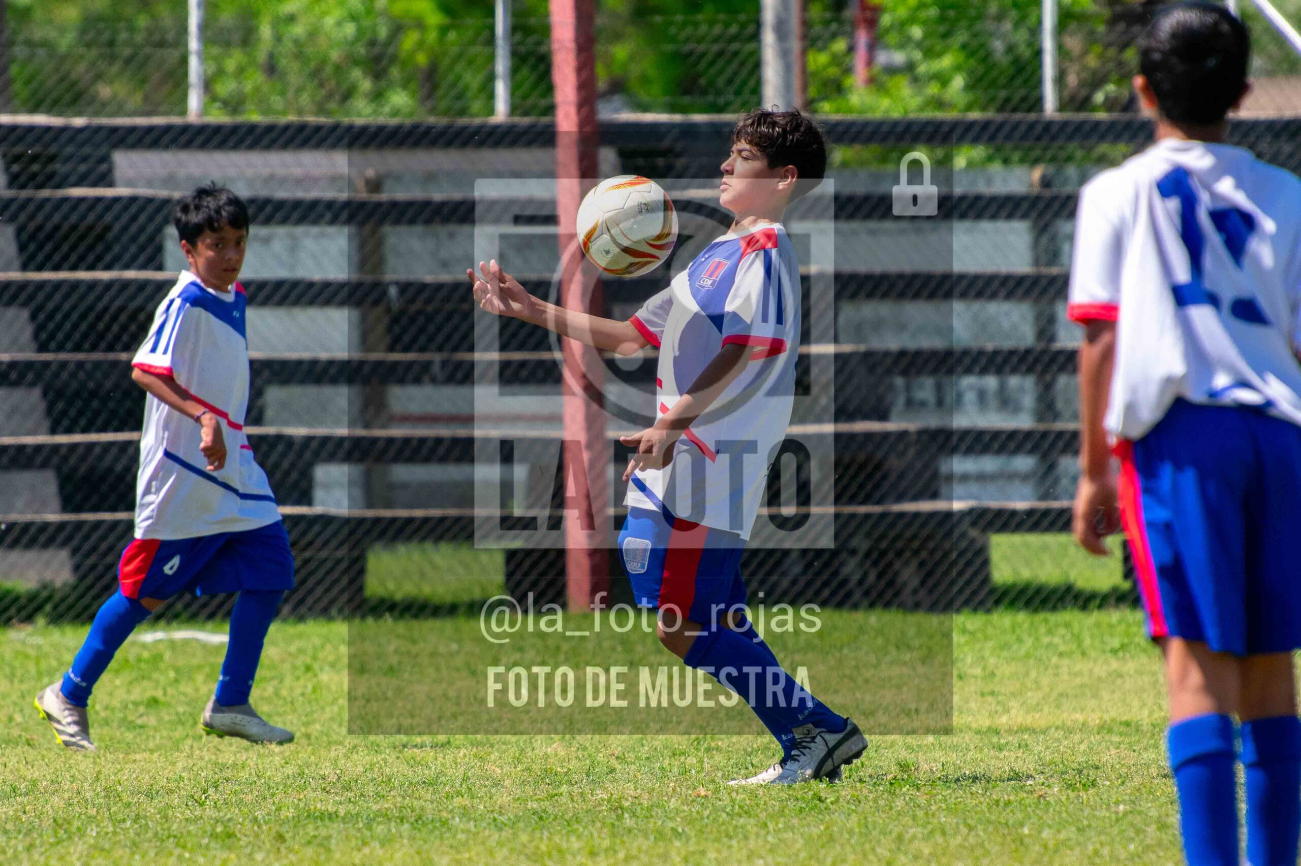 Fotografía SUB13-NEWBERY-UNION-35-scaled de NEWBERY - UNION / SUB13