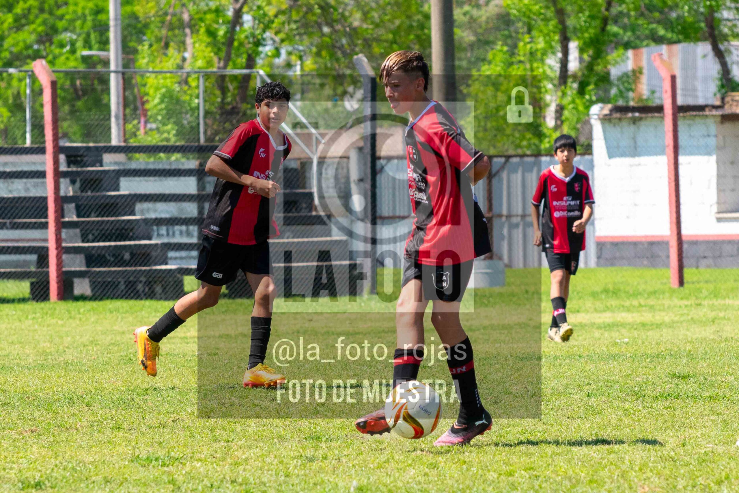 Fotografía SUB13-NEWBERY-UNION-37-scaled de NEWBERY - UNION / SUB13