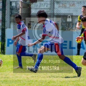 Fotografía SUB13-NEWBERY-UNION-43-scaled de NEWBERY - UNION / SUB13