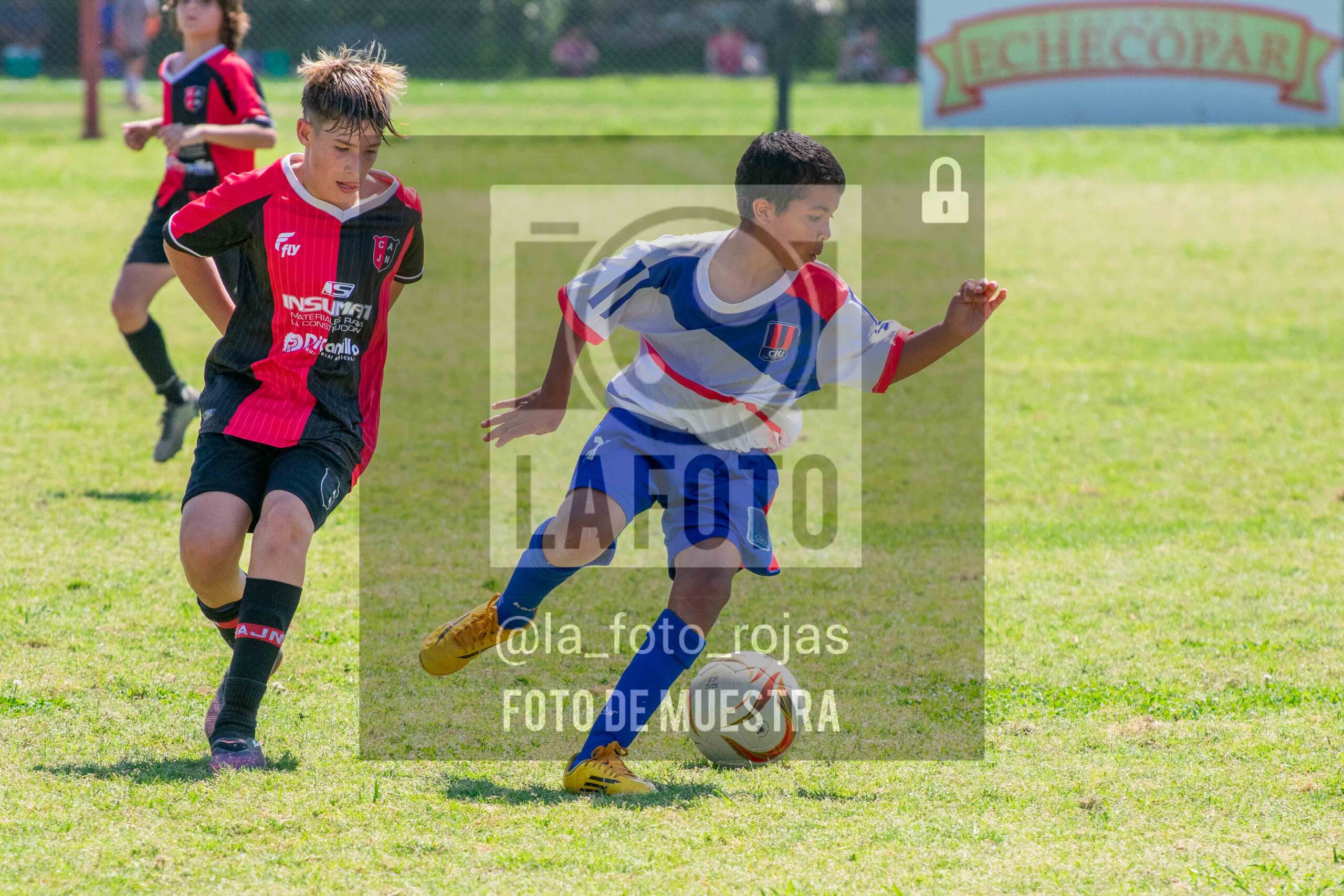 Fotografía SUB13-NEWBERY-UNION-44-scaled de NEWBERY - UNION / SUB13