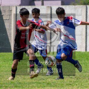 Fotografía SUB13-NEWBERY-UNION-5-scaled de NEWBERY - UNION / SUB13