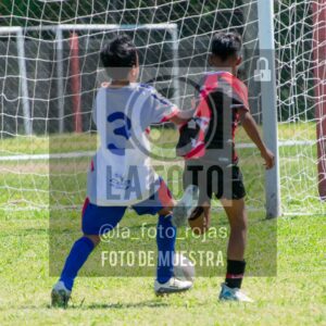 Fotografía SUB13-NEWBERY-UNION-55-scaled de NEWBERY - UNION / SUB13