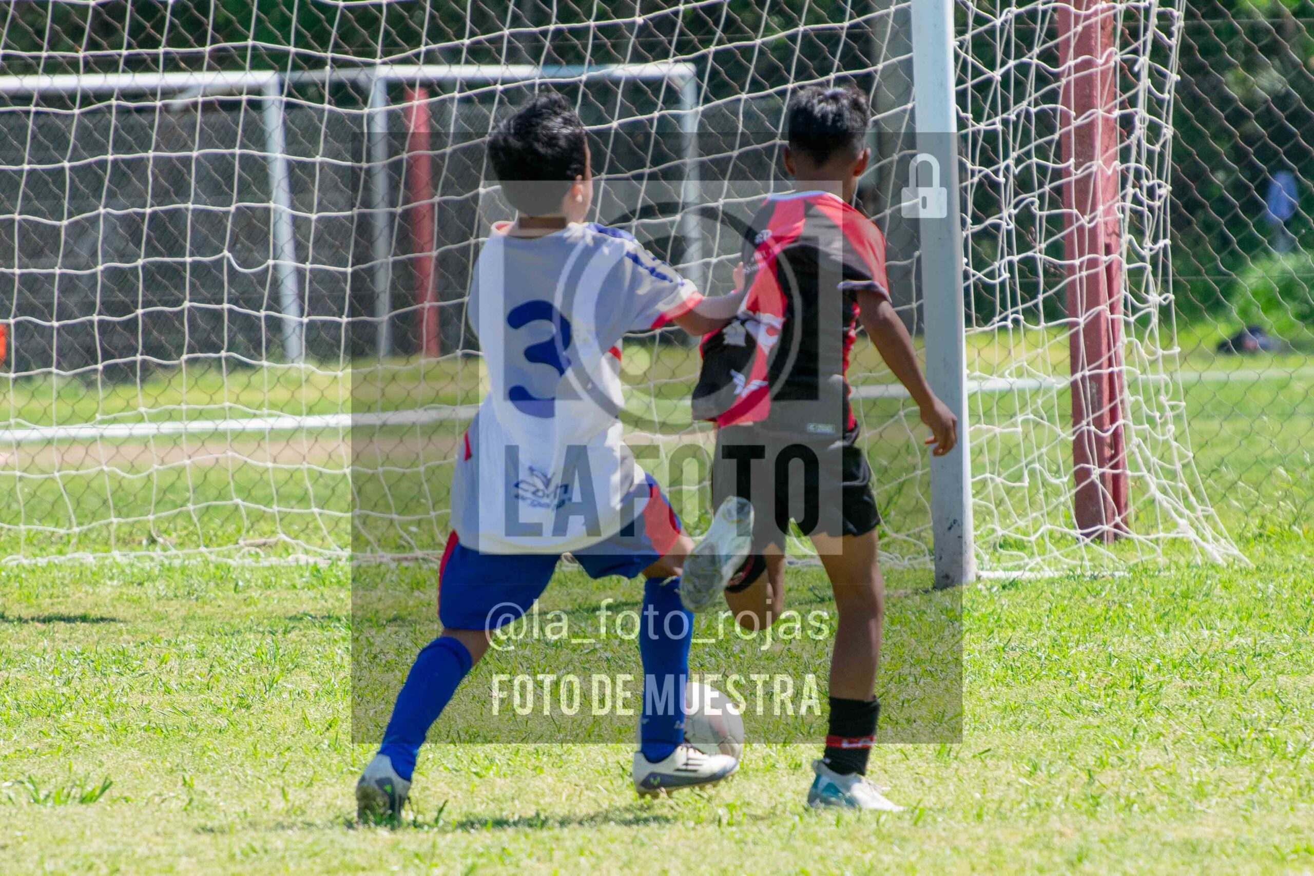 Fotografía SUB13-NEWBERY-UNION-55-scaled de NEWBERY - UNION / SUB13