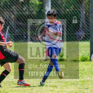 Fotografía SUB13-NEWBERY-UNION-59-scaled de NEWBERY - UNION / SUB13