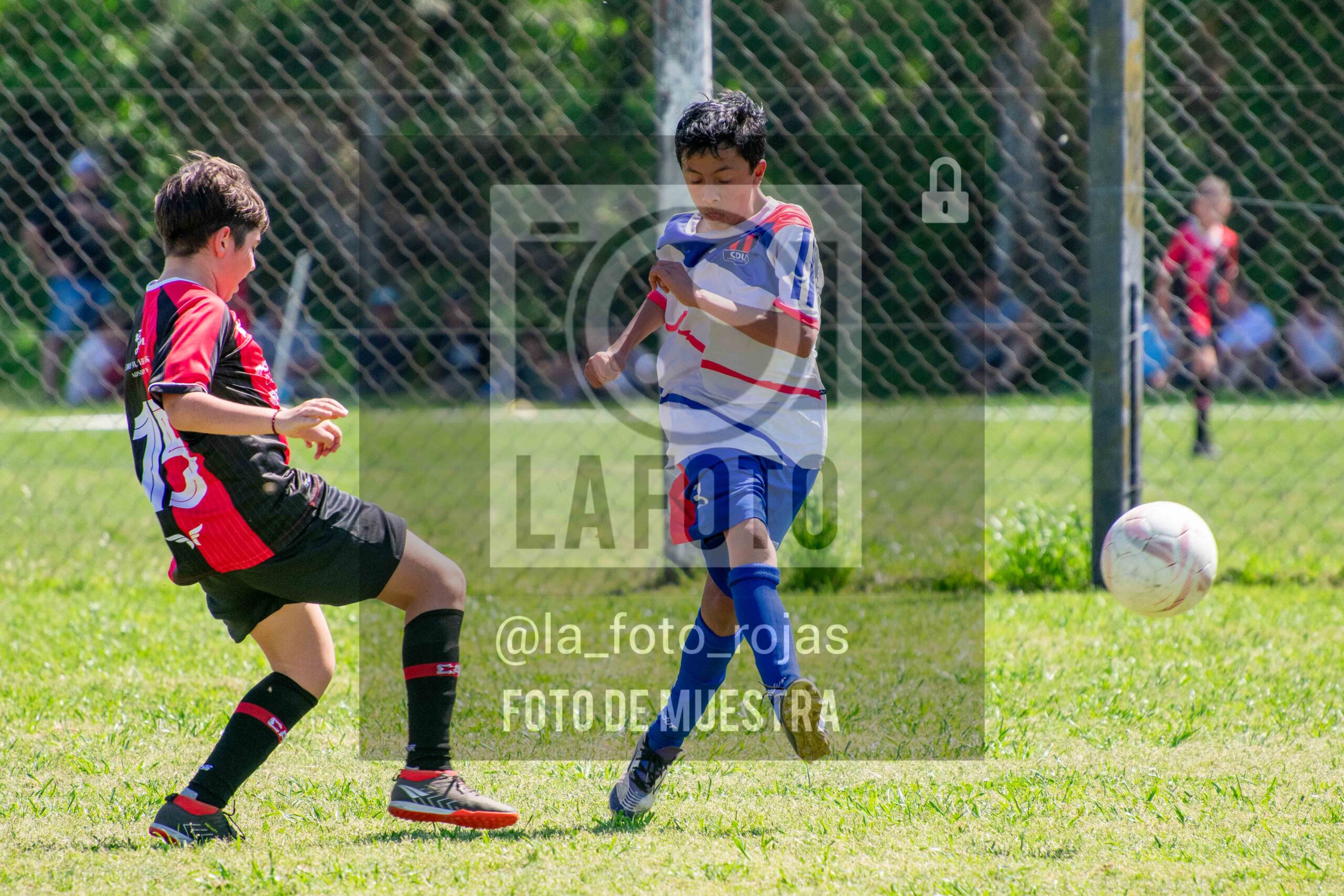 Fotografía SUB13-NEWBERY-UNION-59-scaled de NEWBERY - UNION / SUB13
