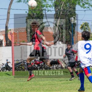 Fotografía SUB13-NEWBERY-UNION-61-scaled de NEWBERY - UNION / SUB13