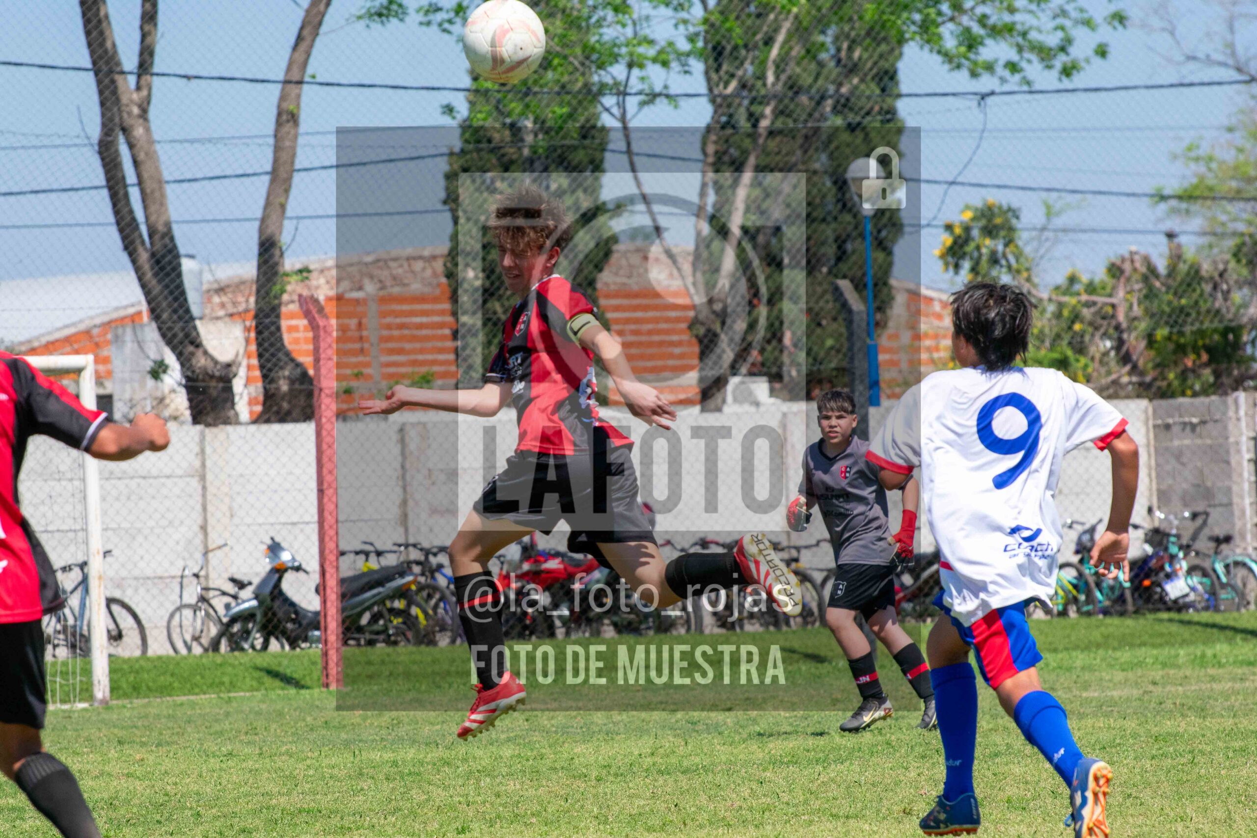 Fotografía SUB13-NEWBERY-UNION-61-scaled de NEWBERY - UNION / SUB13