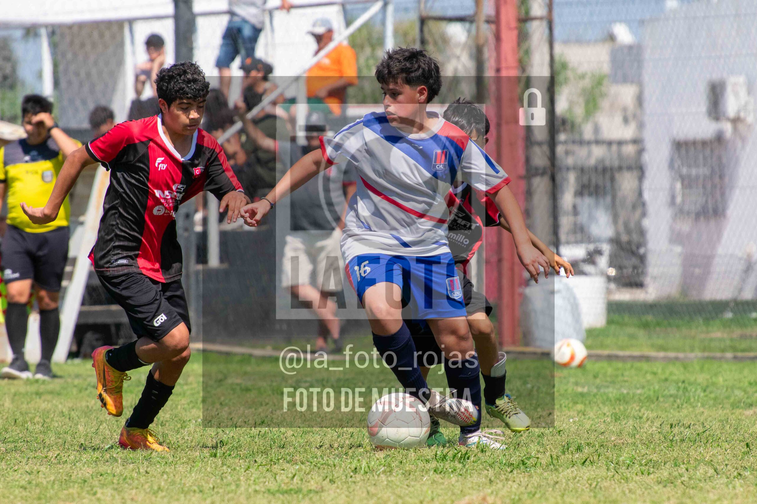 Fotografía SUB13-NEWBERY-UNION-76-1-scaled de NEWBERY - UNION / SUB13