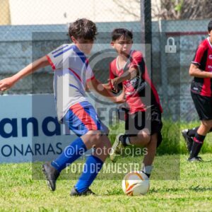 Fotografía SUB13-NEWBERY-UNION-84-scaled de NEWBERY - UNION / SUB13