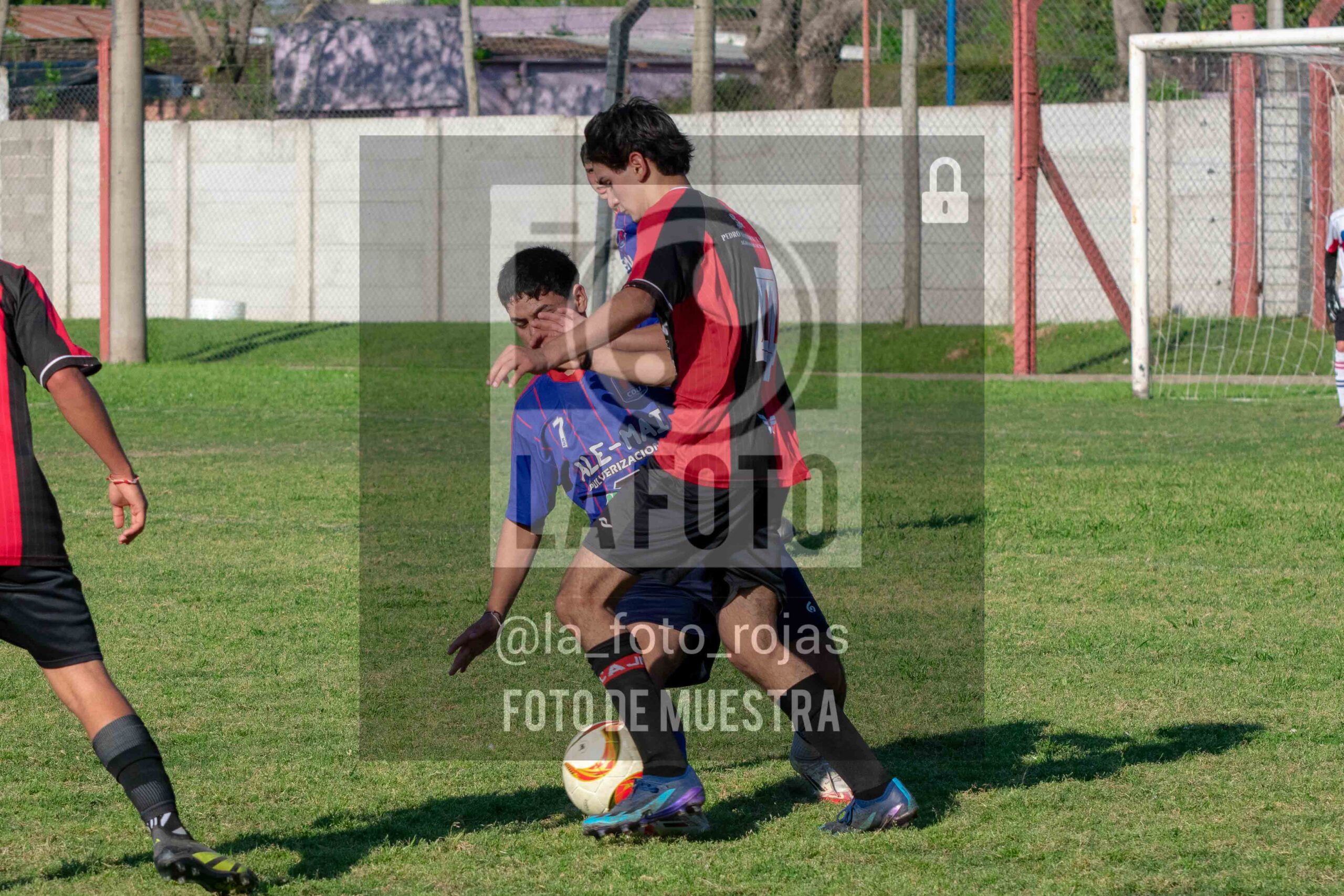 Fotografía SUB17-NEWBERY-UNION-115-scaled de NEWBERY - UNION / SUB17