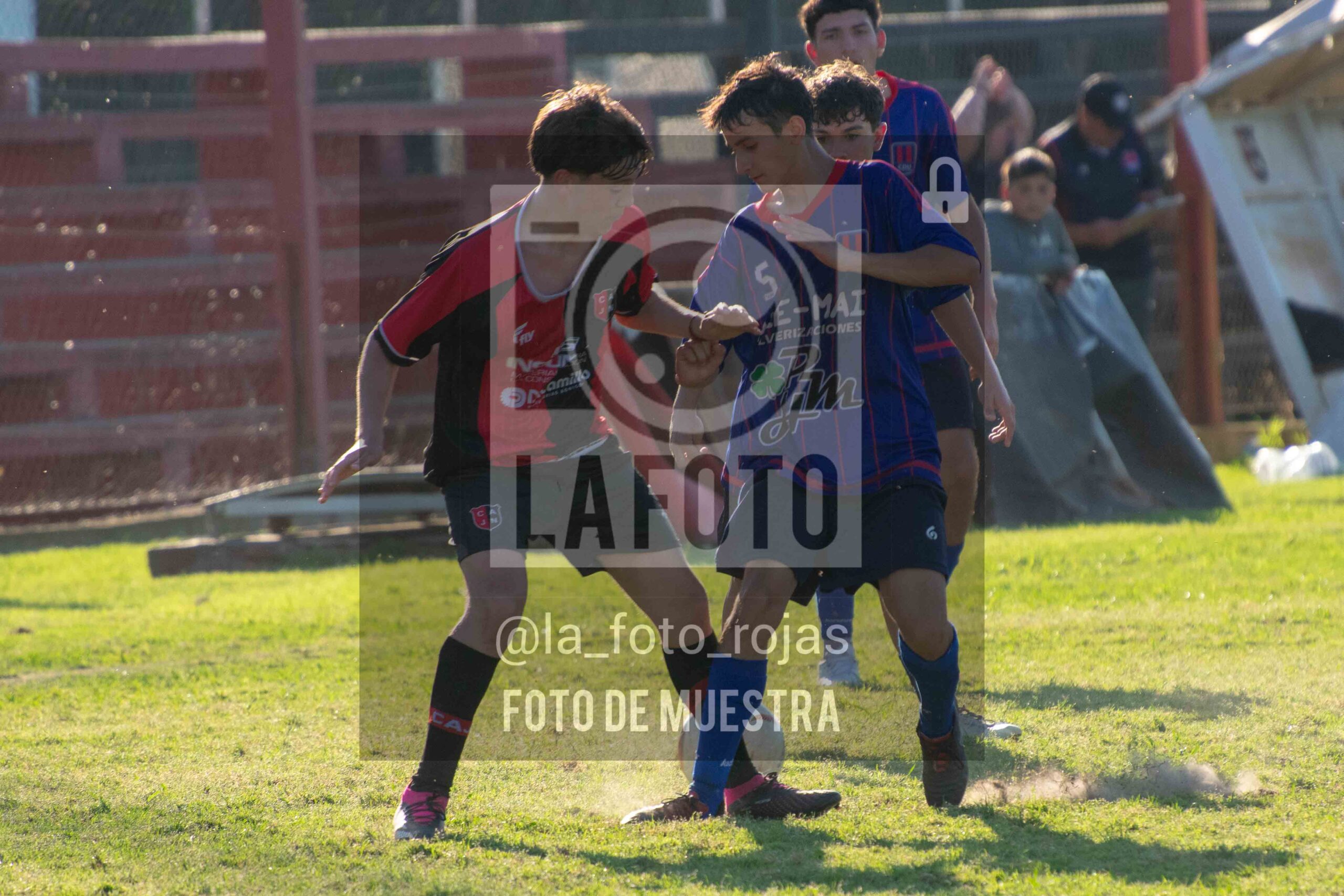 Fotografía SUB17-NEWBERY-UNION-148-scaled de NEWBERY - UNION / SUB17