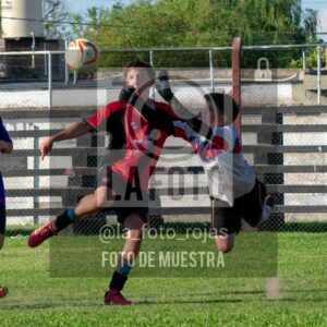 Fotografía SUB17-NEWBERY-UNION-151-scaled de NEWBERY - UNION / SUB17