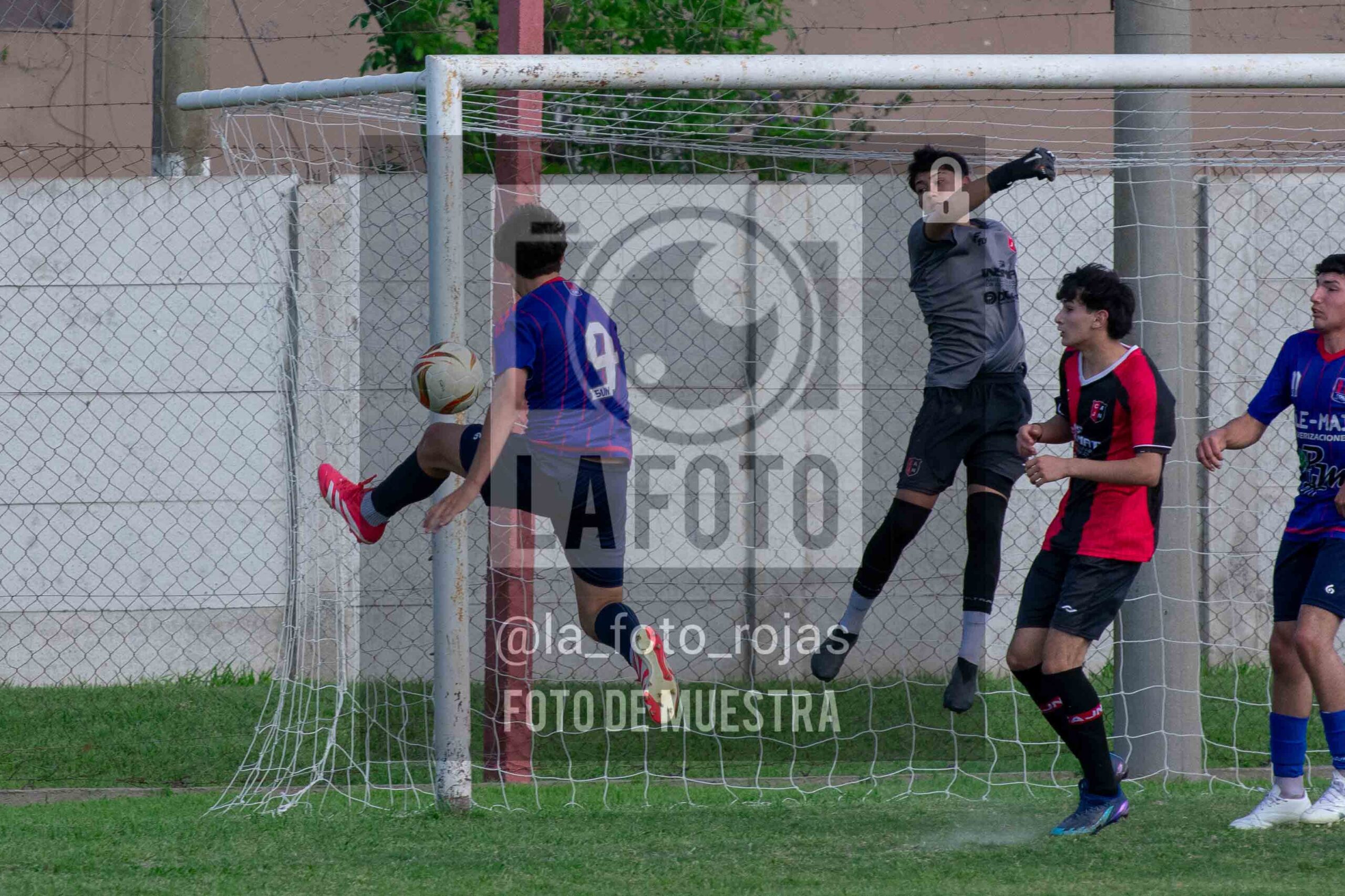 Fotografía SUB17-NEWBERY-UNION-27-scaled de NEWBERY - UNION / SUB17