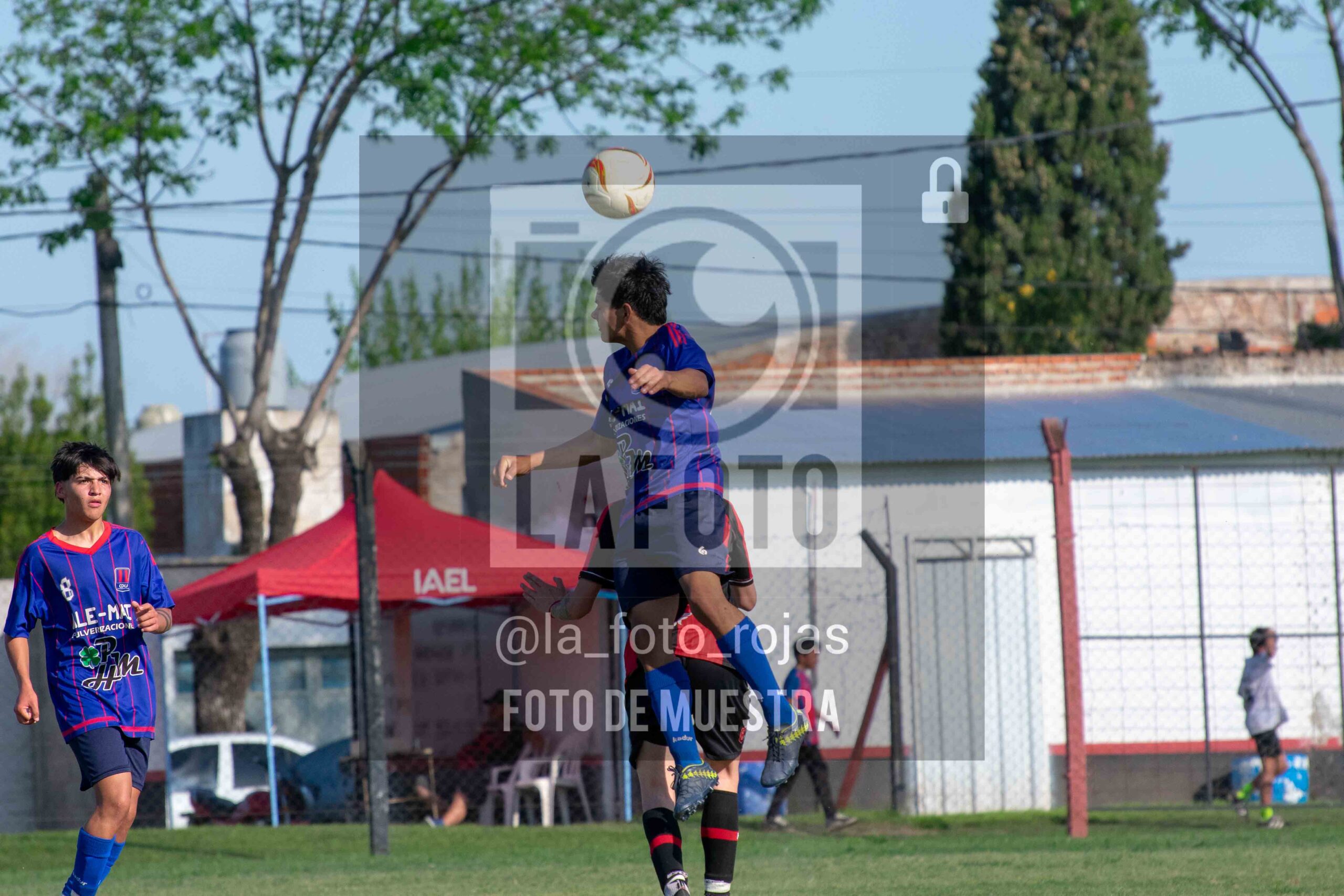 Fotografía SUB17-NEWBERY-UNION-86-scaled de NEWBERY - UNION / SUB17