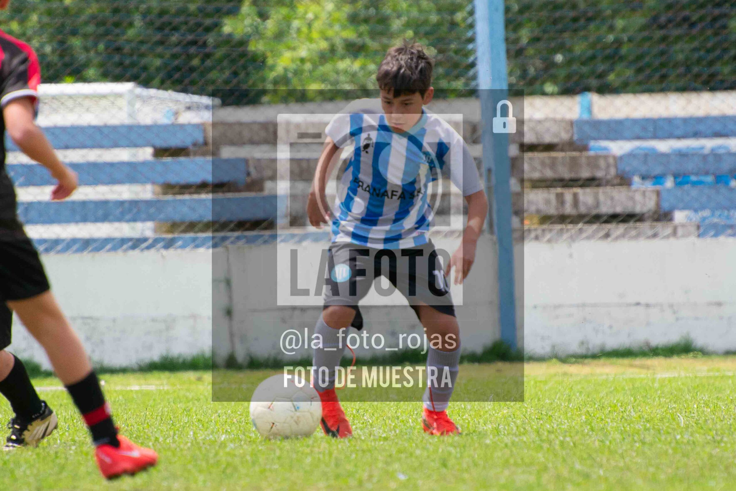 Fotografía 2014-ARG-NEW-10-scaled de ARGENTINO - NEWBERY / 2014 / 8-11