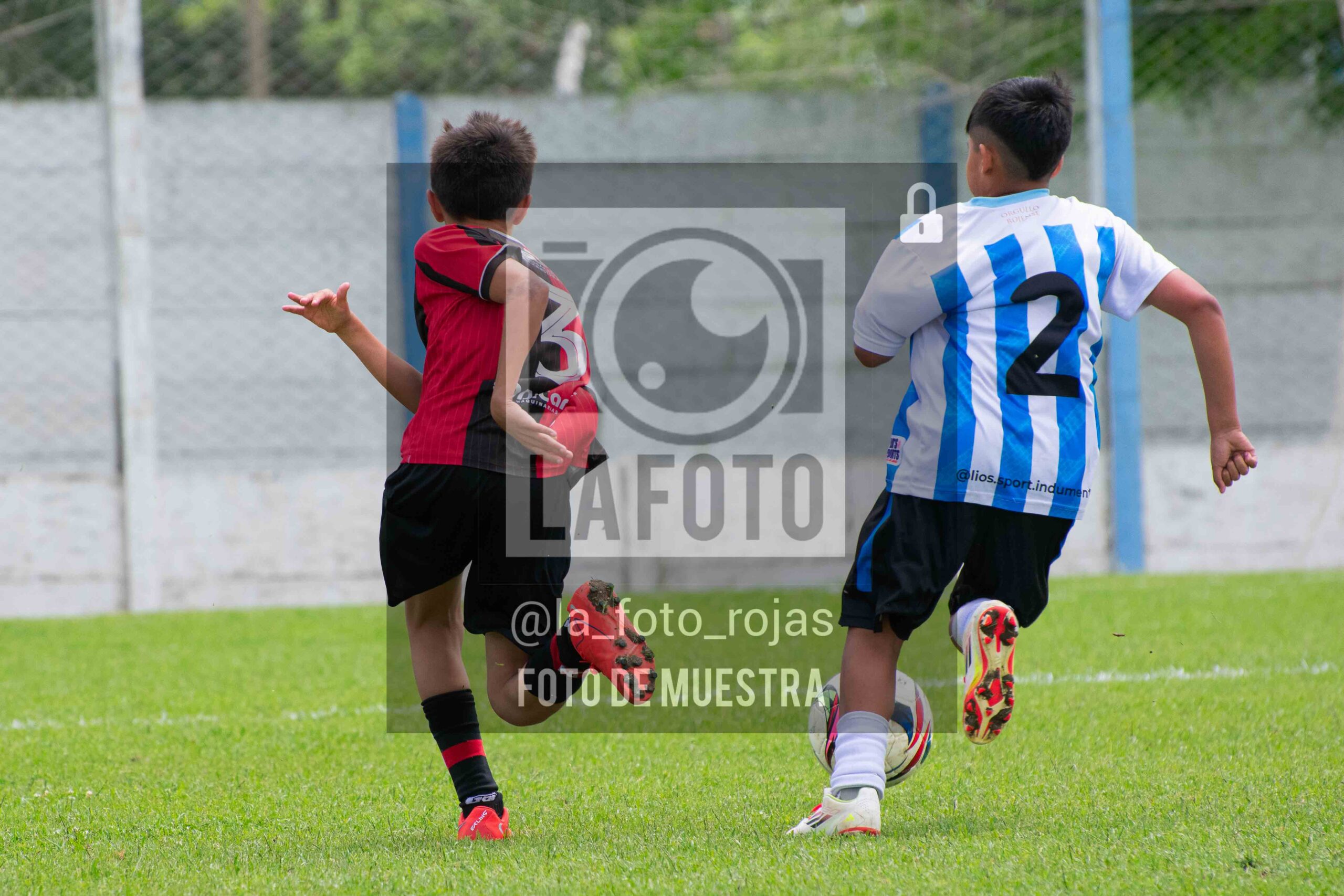 Fotografía 2014-ARG-NEW-100-scaled de ARGENTINO - NEWBERY / 2014 / 8-11