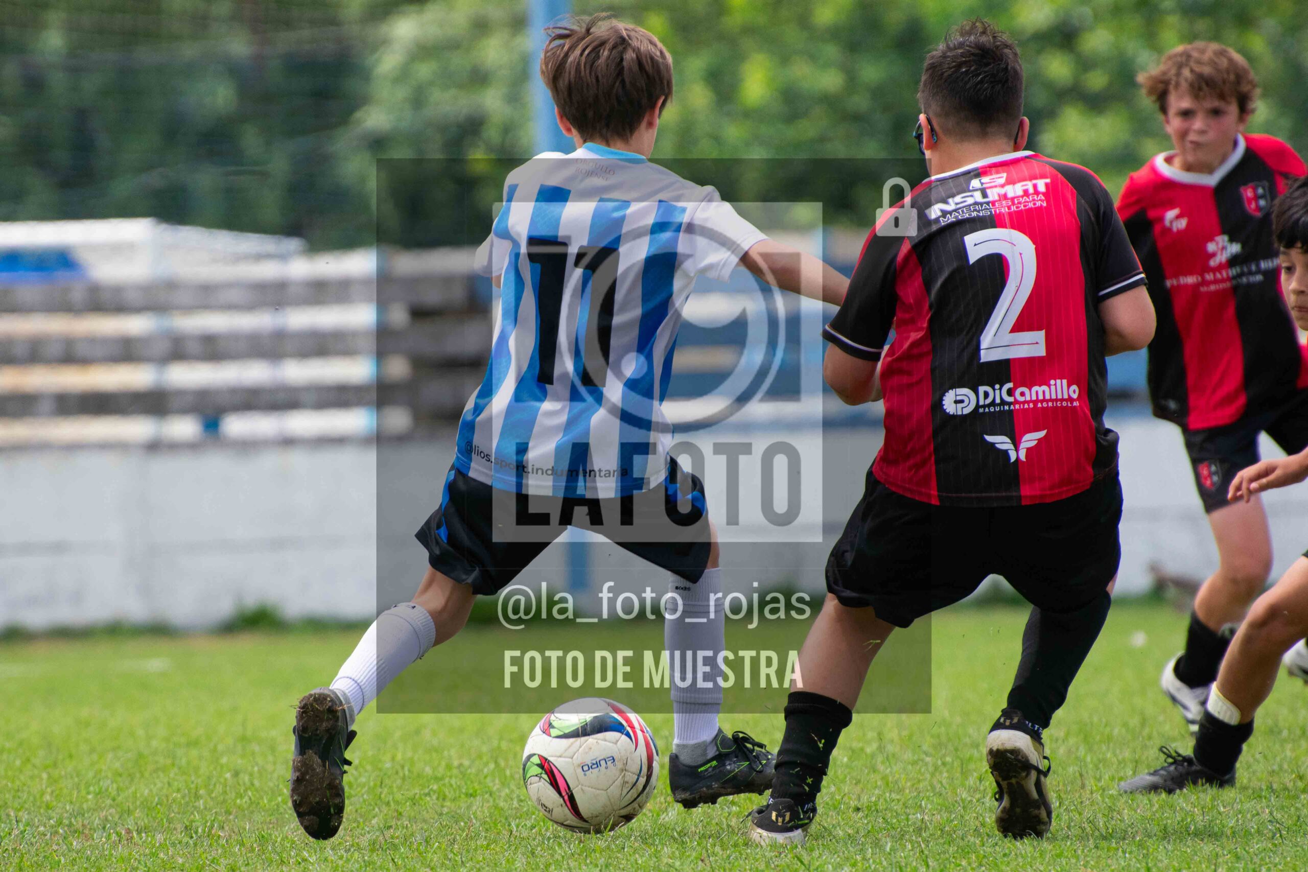 Fotografía 2014-ARG-NEW-105-scaled de ARGENTINO - NEWBERY / 2014 / 8-11
