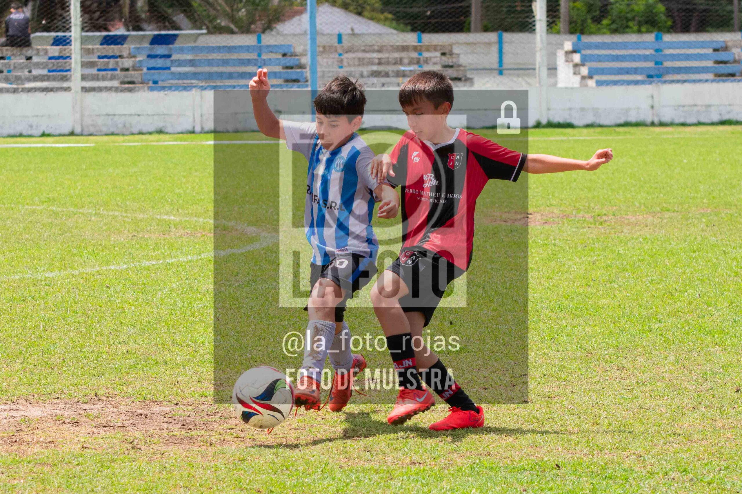 Fotografía 2014-ARG-NEW-106-scaled de ARGENTINO - NEWBERY / 2014 / 8-11