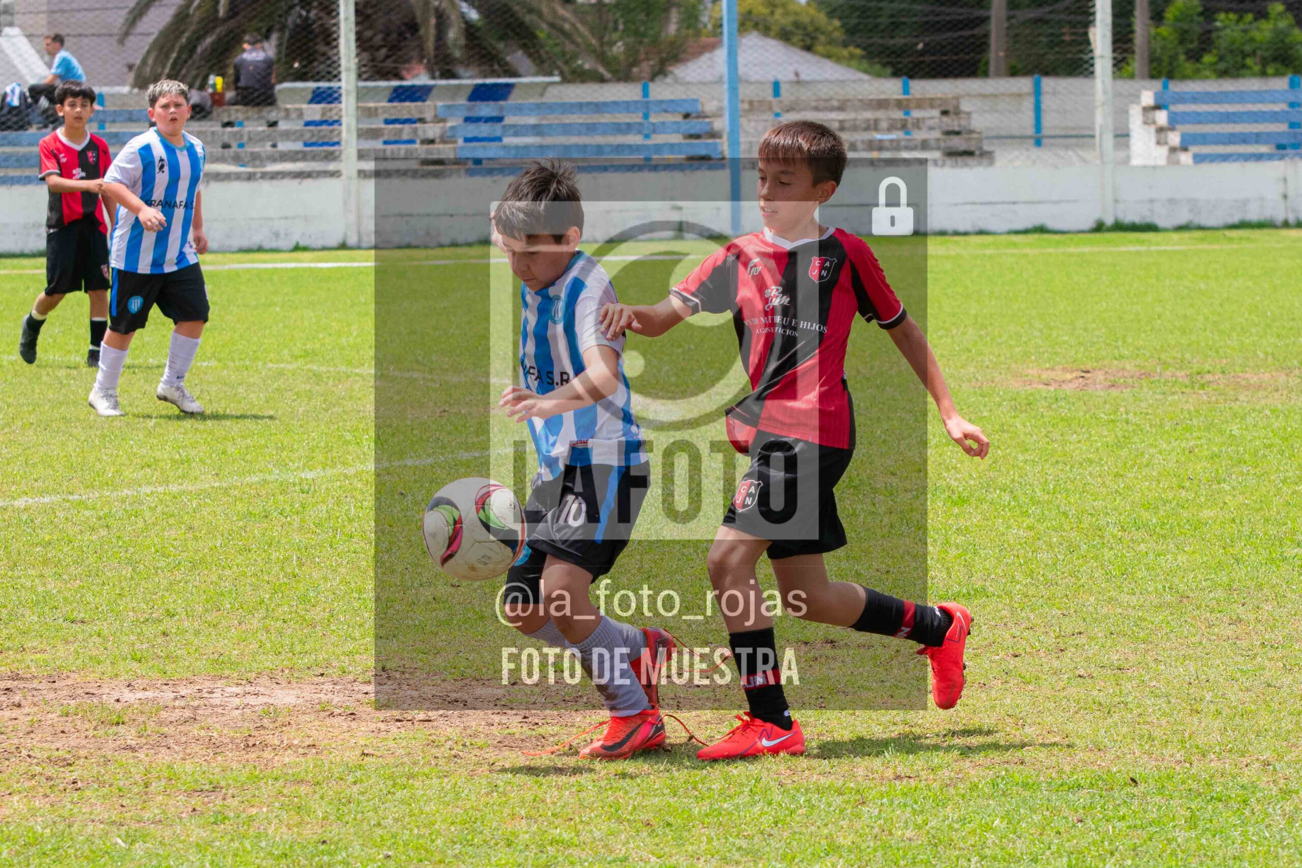Fotografía 2014-ARG-NEW-107-scaled de ARGENTINO - NEWBERY / 2014 / 8-11