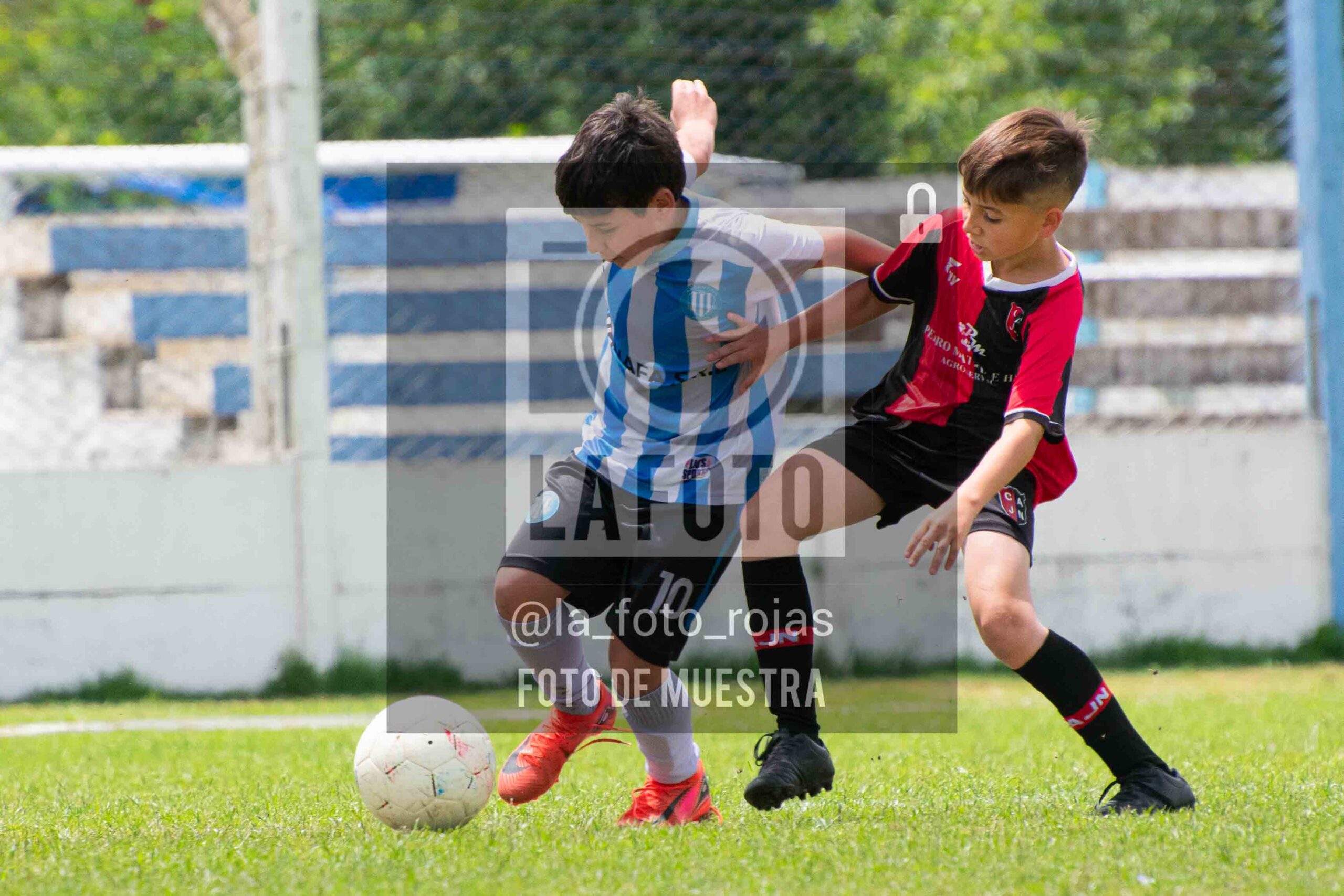 Fotografía 2014-ARG-NEW-11-1-scaled de ARGENTINO - NEWBERY / 2014 / 8-11