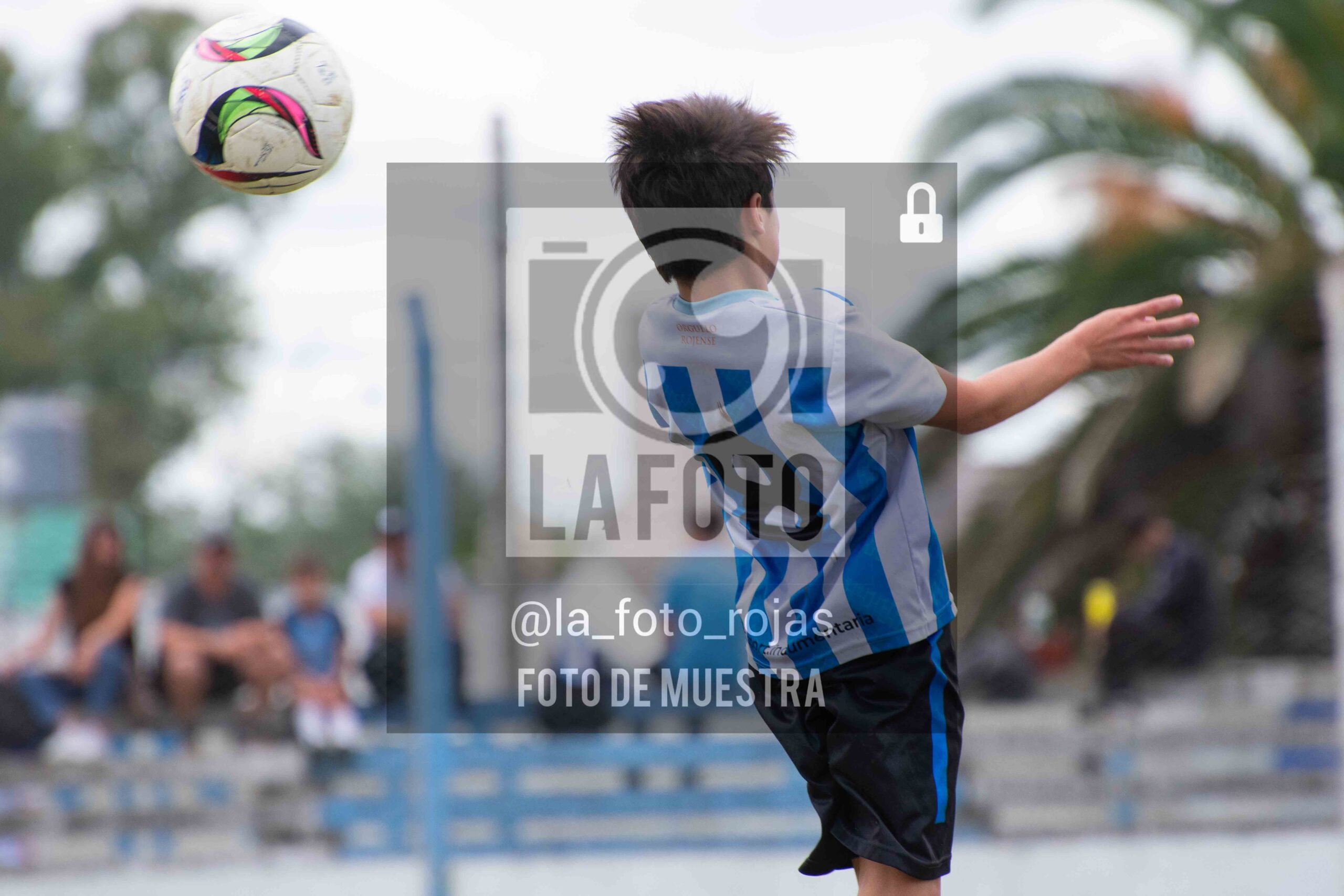 Fotografía 2014-ARG-NEW-111-scaled de ARGENTINO - NEWBERY / 2014 / 8-11
