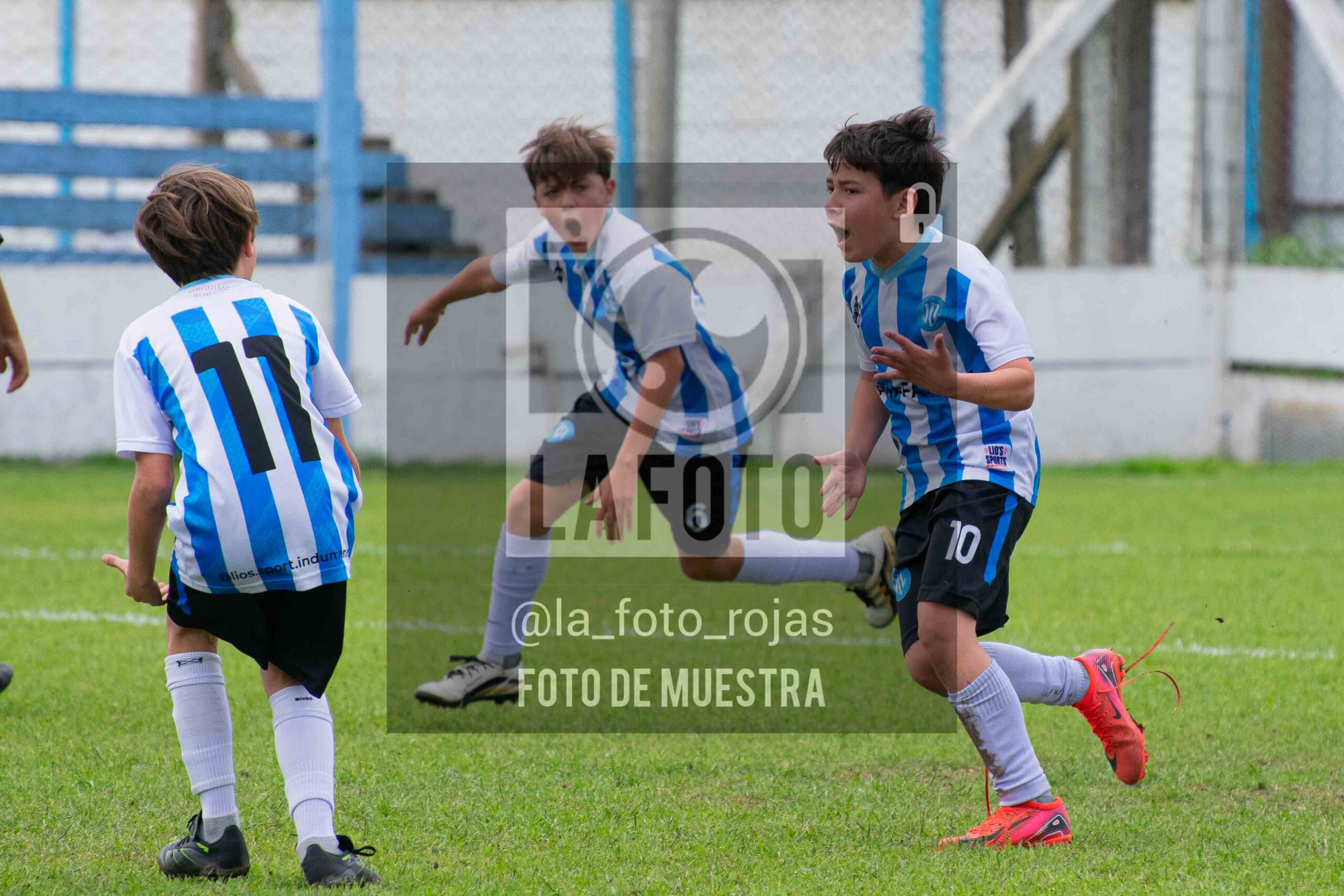 Fotografía 2014-ARG-NEW-112-scaled de ARGENTINO - NEWBERY / 2014 / 8-11