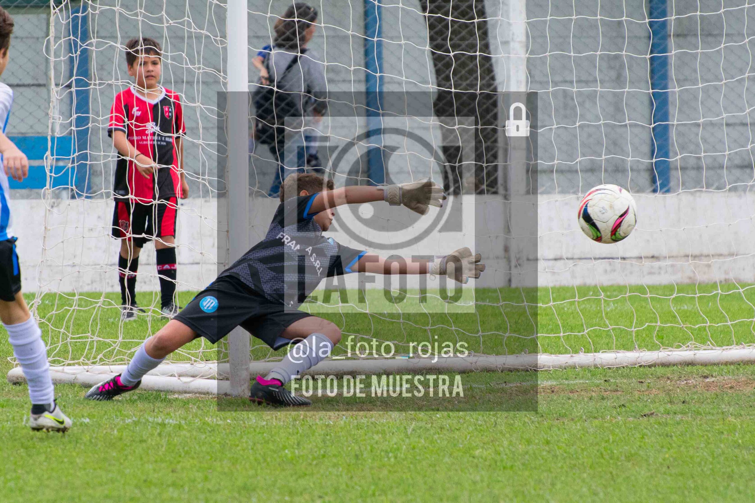 Fotografía 2014-ARG-NEW-113-scaled de ARGENTINO - NEWBERY / 2014 / 8-11