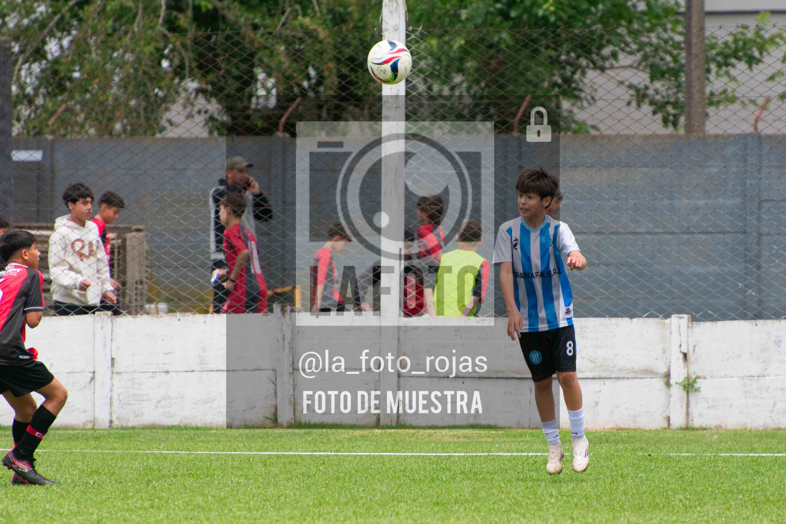 Fotografía 2014-ARG-NEW-115-scaled de ARGENTINO - NEWBERY / 2014 / 8-11