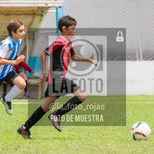 Fotografía 2014-ARG-NEW-116-scaled de ARGENTINO - NEWBERY / 2014 / 8-11
