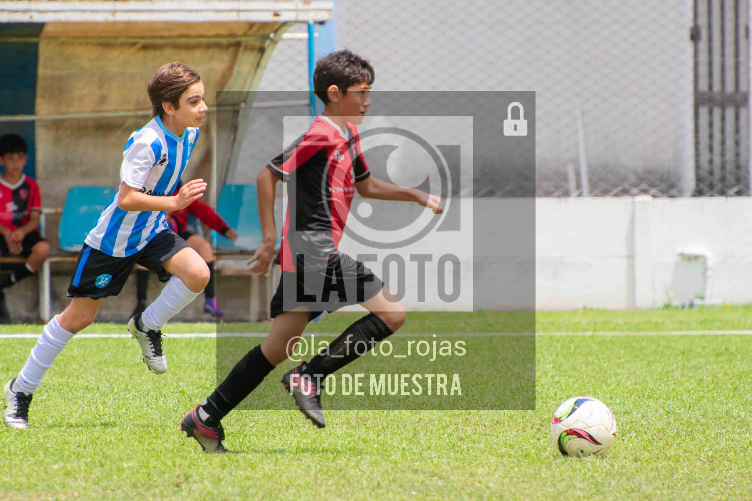Fotografía 2014-ARG-NEW-116-scaled de ARGENTINO - NEWBERY / 2014 / 8-11