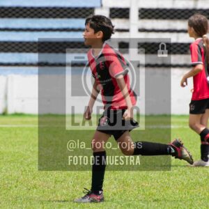 Fotografía 2014-ARG-NEW-117-scaled de ARGENTINO - NEWBERY / 2014 / 8-11