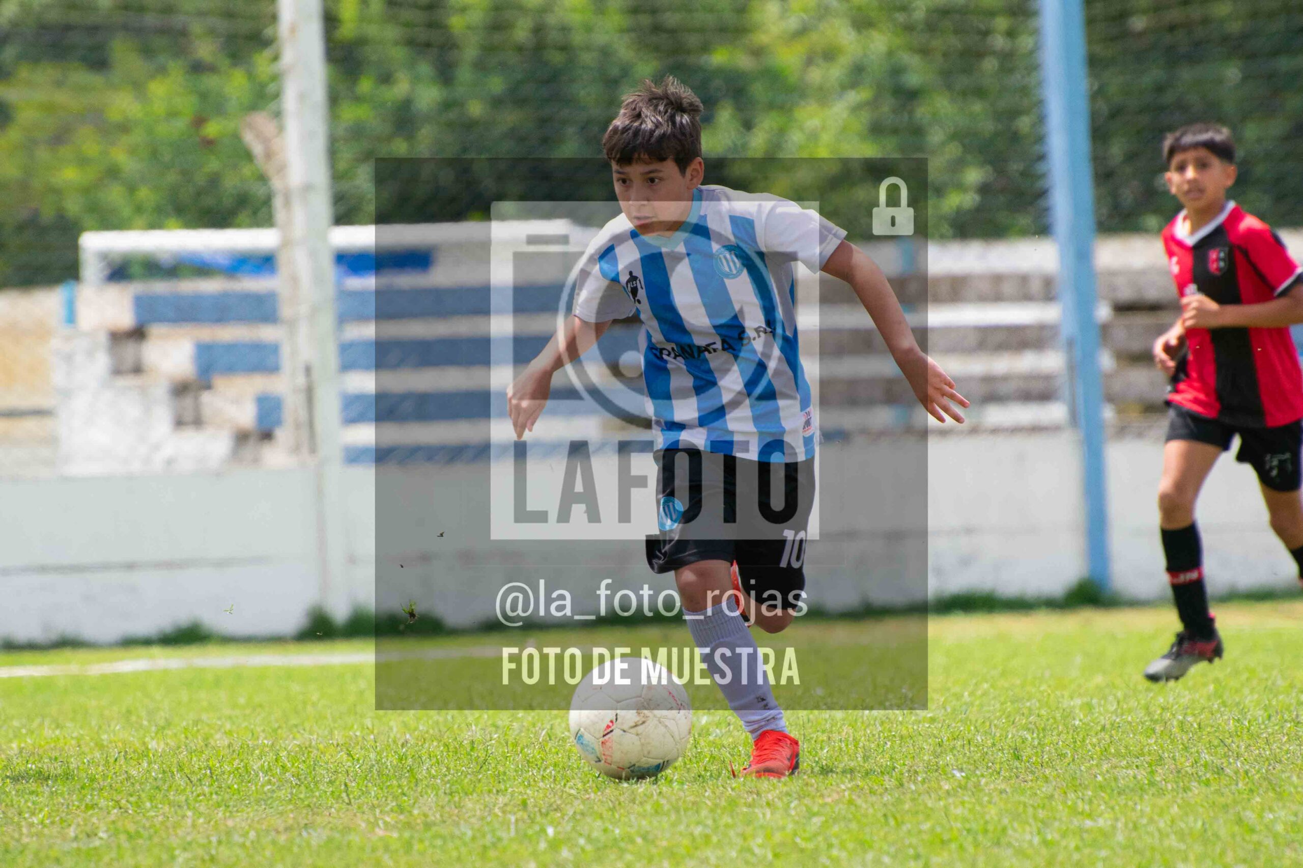 Fotografía 2014-ARG-NEW-12-scaled de ARGENTINO - NEWBERY / 2014 / 8-11