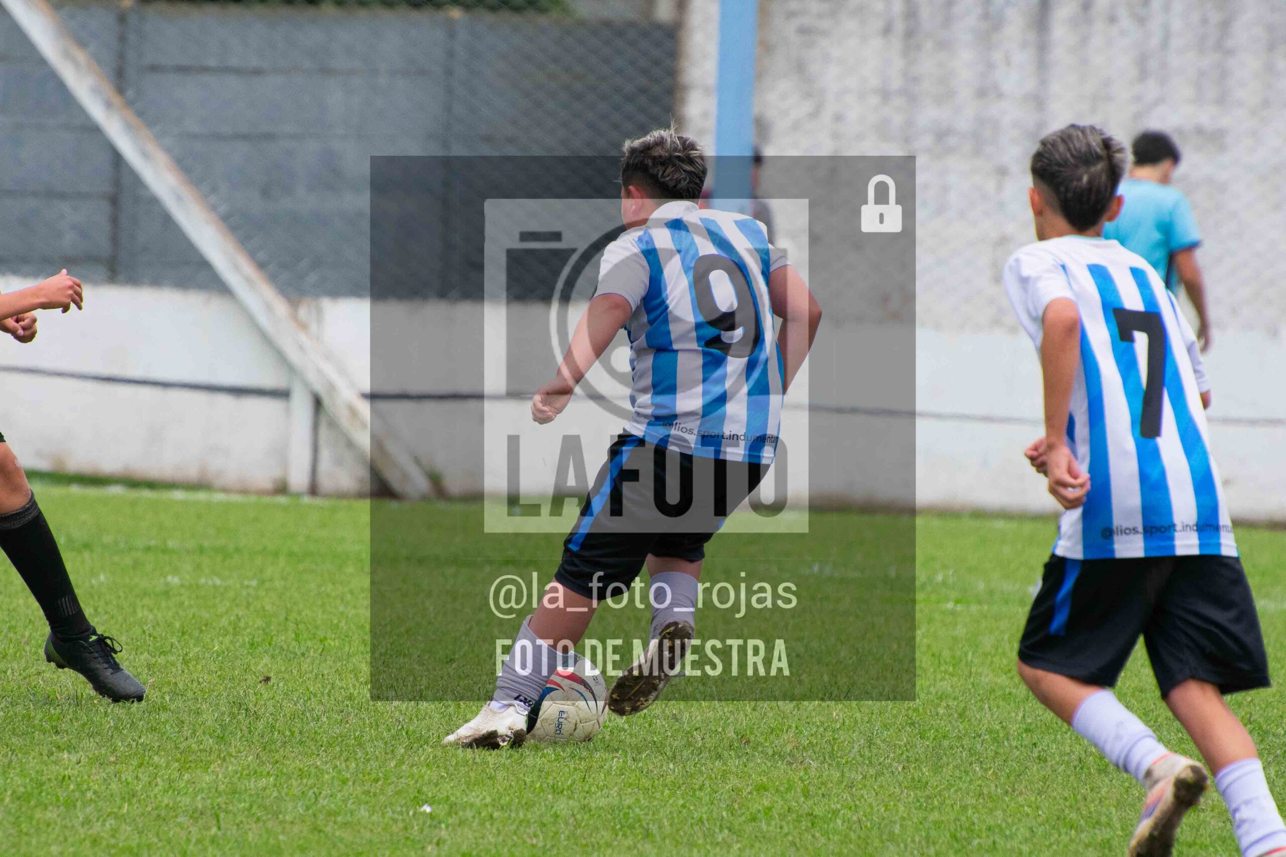 Fotografía 2014-ARG-NEW-120-scaled de ARGENTINO - NEWBERY / 2014 / 8-11