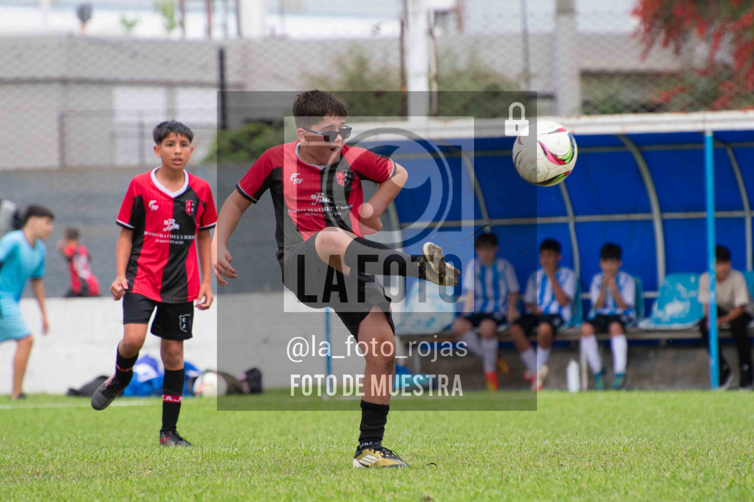 Fotografía 2014-ARG-NEW-121-scaled de ARGENTINO - NEWBERY / 2014 / 8-11