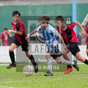 Fotografía 2014-ARG-NEW-123-scaled de ARGENTINO - NEWBERY / 2014 / 8-11