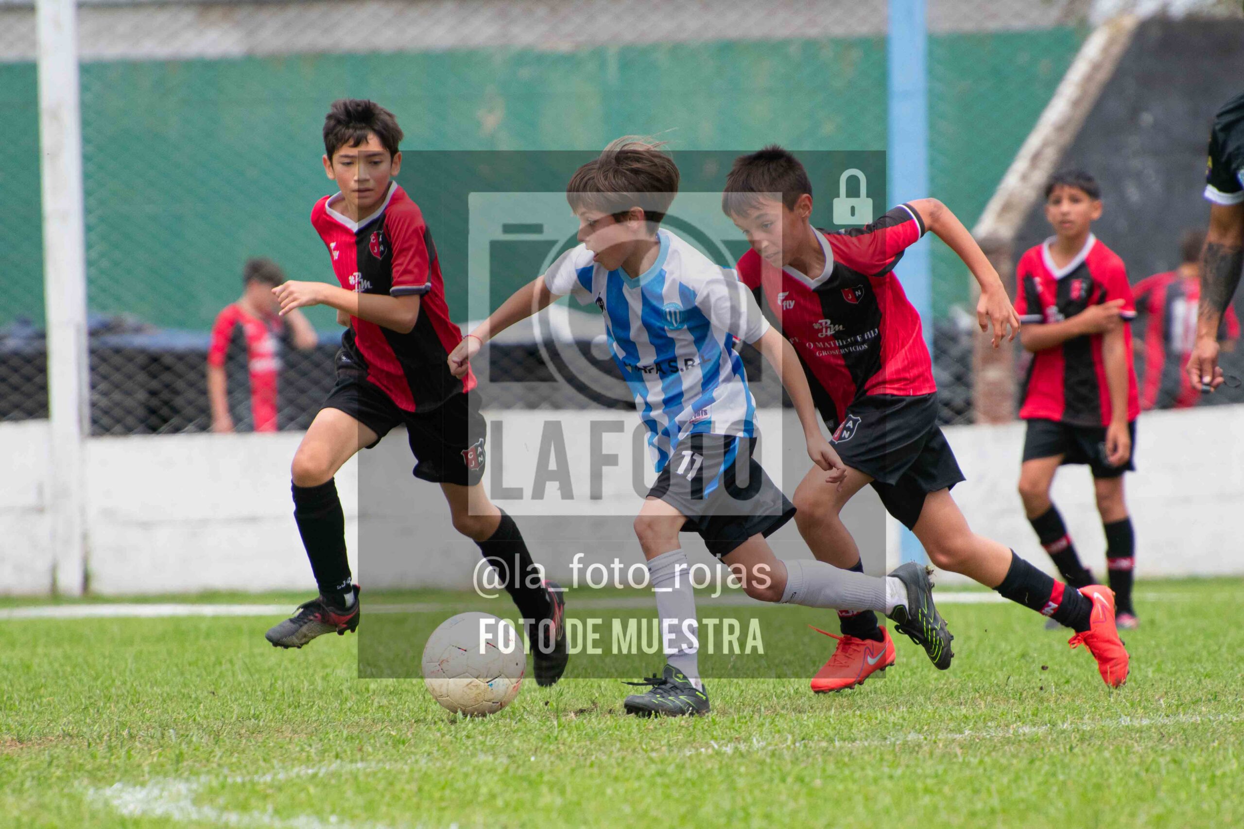 Fotografía 2014-ARG-NEW-123-scaled de ARGENTINO - NEWBERY / 2014 / 8-11